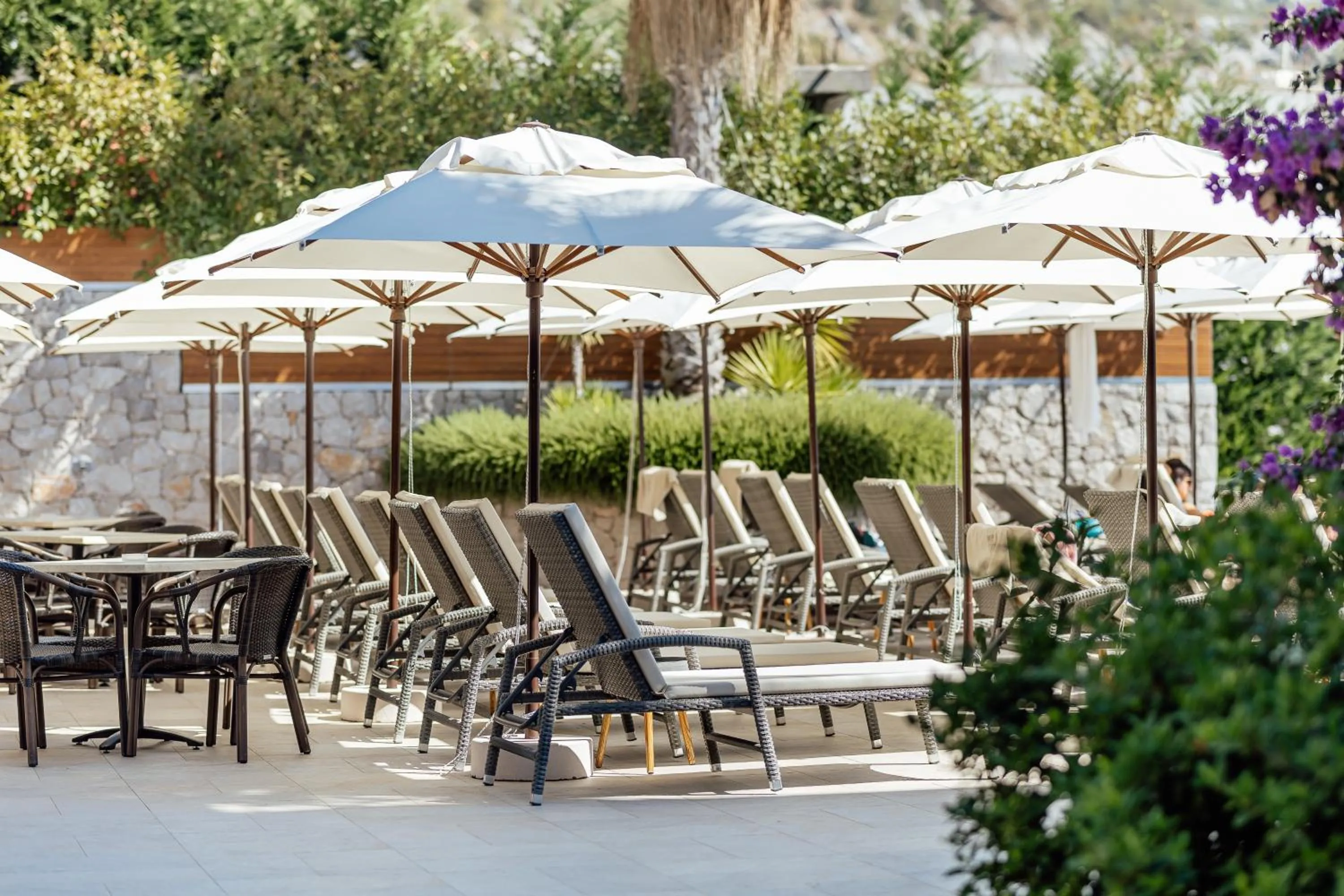 Bellezza Resort & SPA