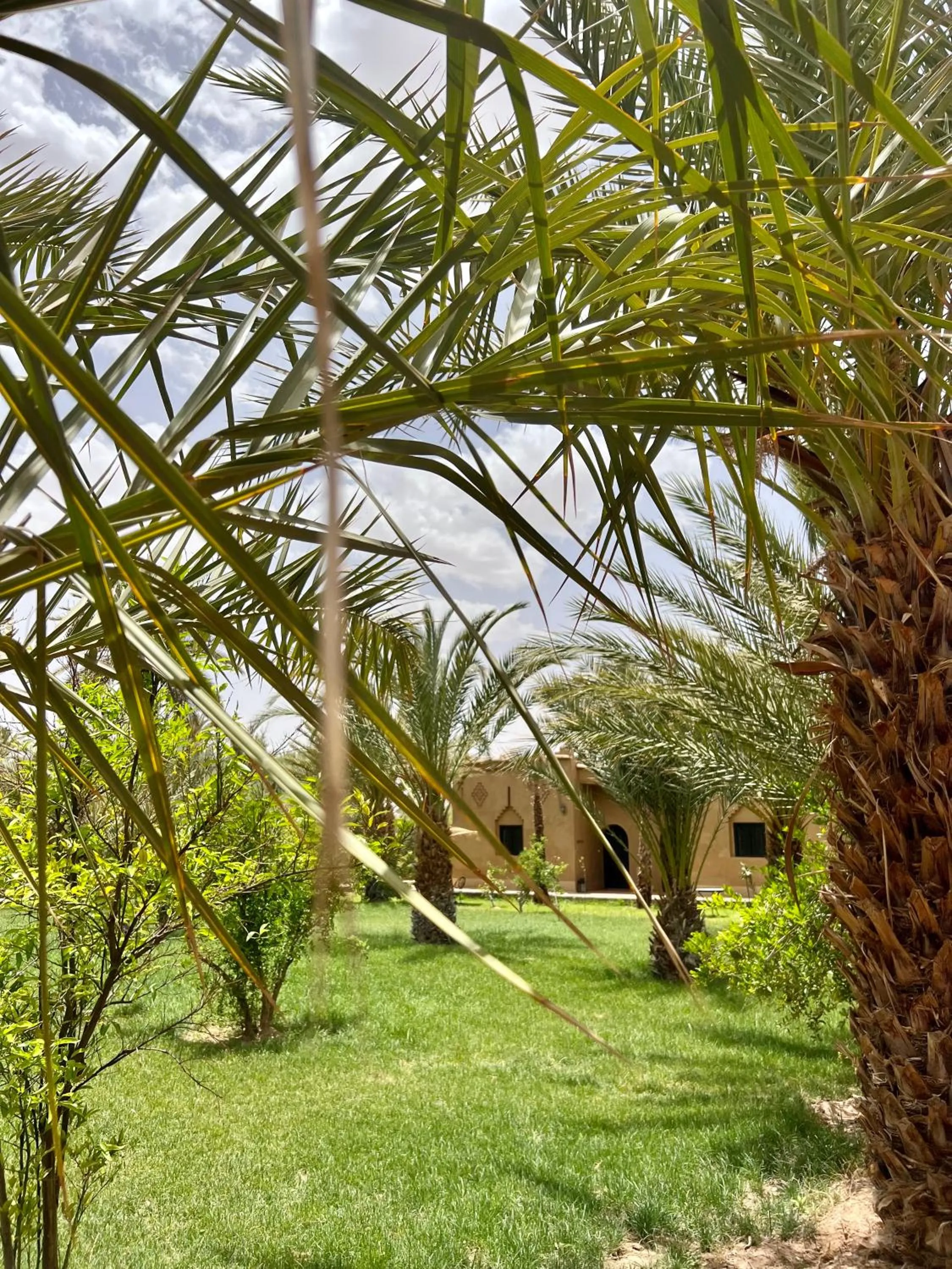 Garden in Kasbah des cyprès