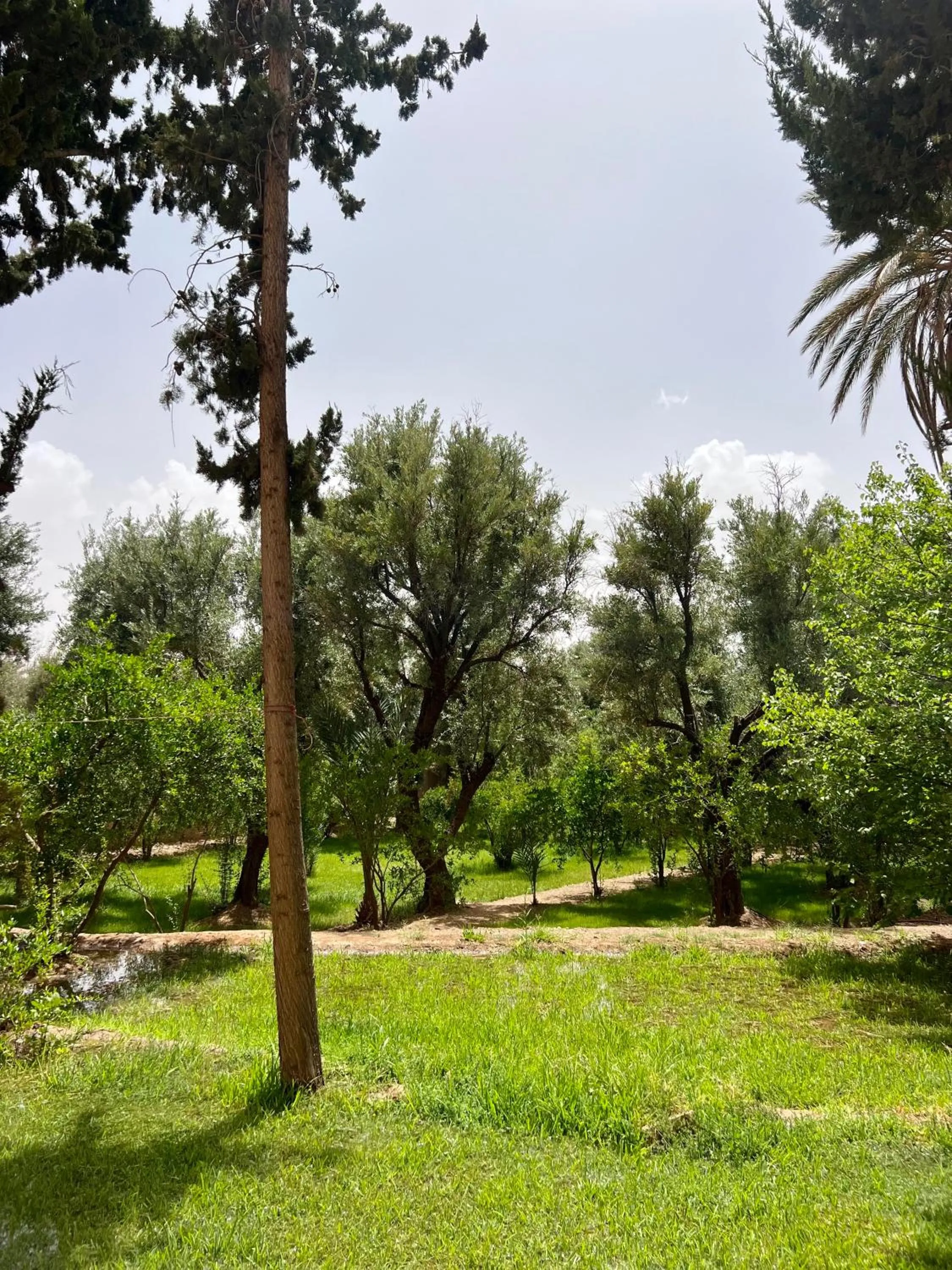 Natural landscape in Kasbah des cyprès