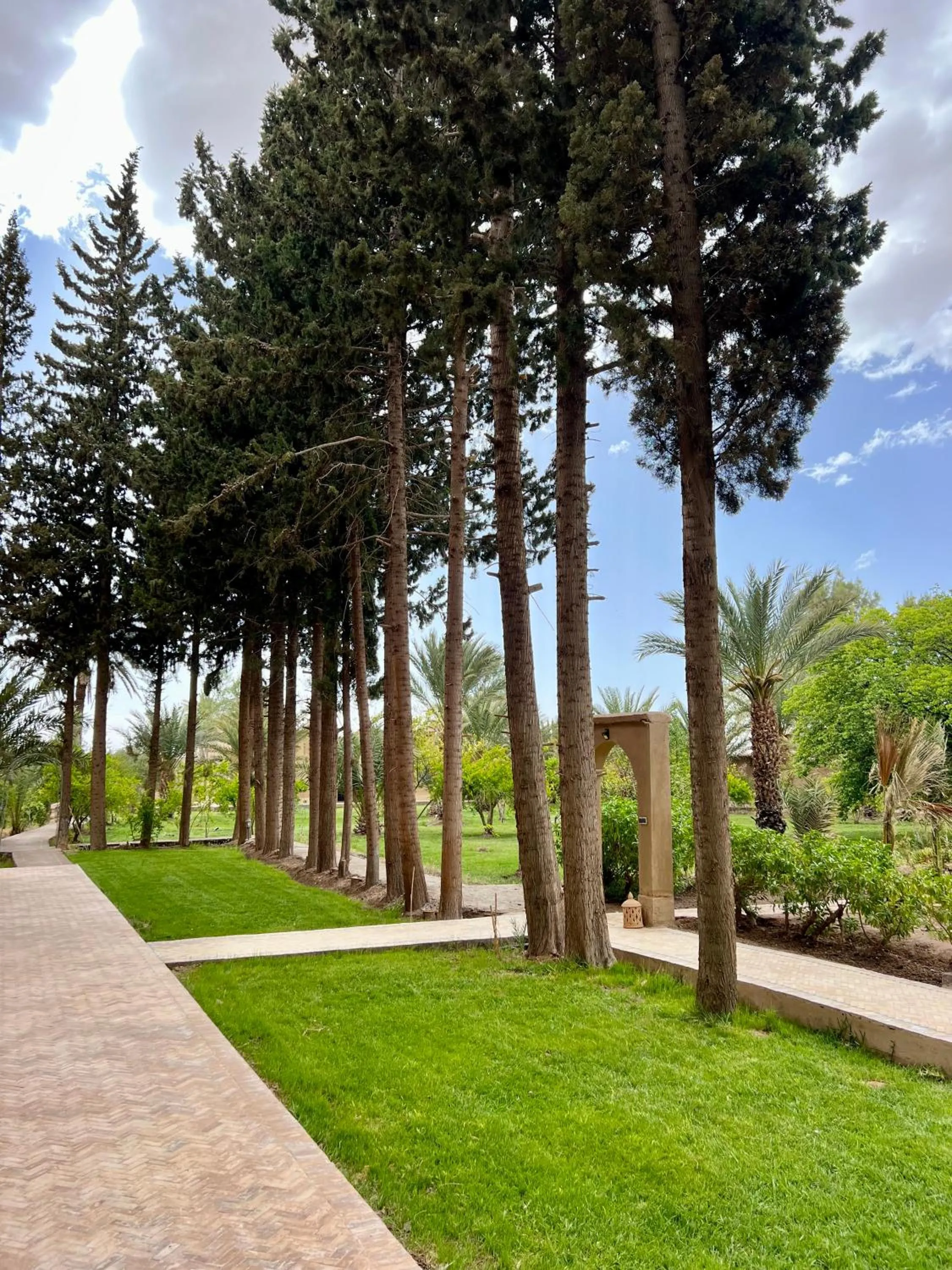 Natural landscape in Kasbah des cyprès