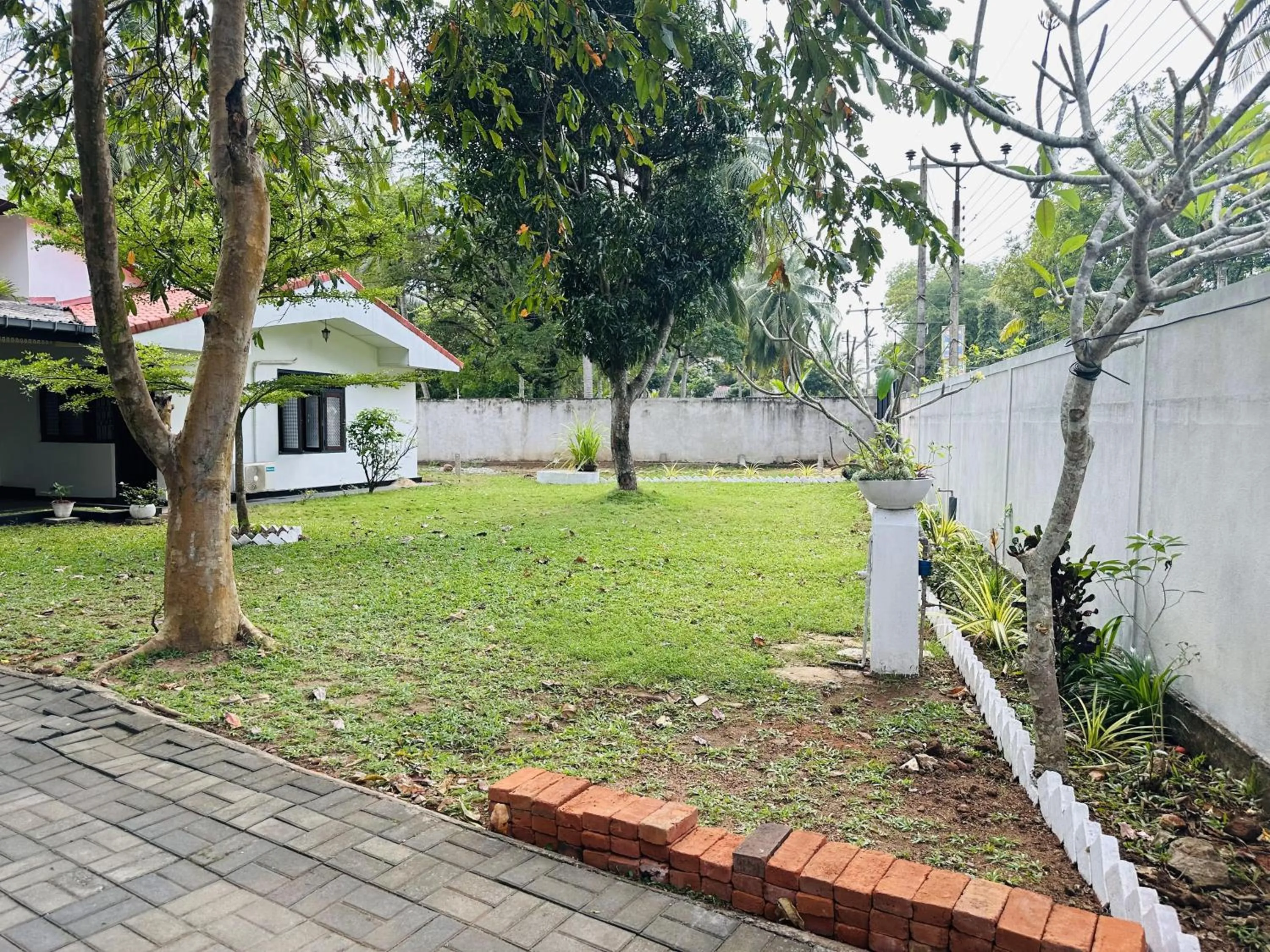 Day in Green Garden Anuradhapura