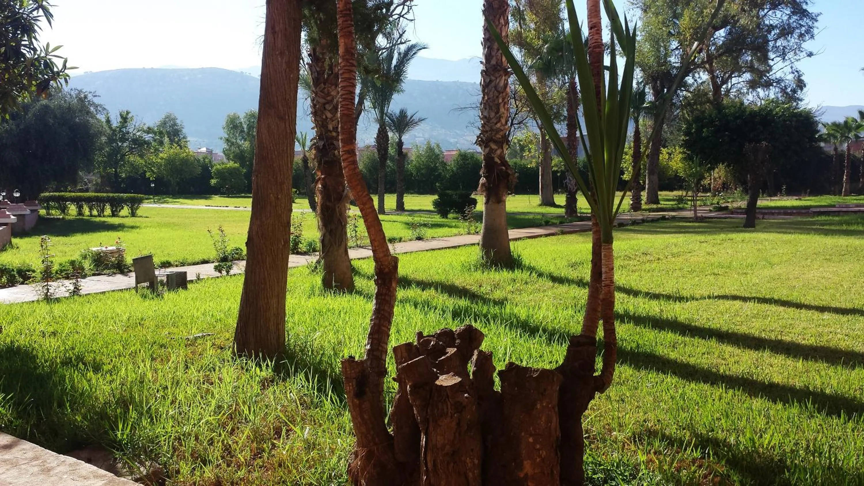 Garden view in Hotel Ouzoud Beni Mellal