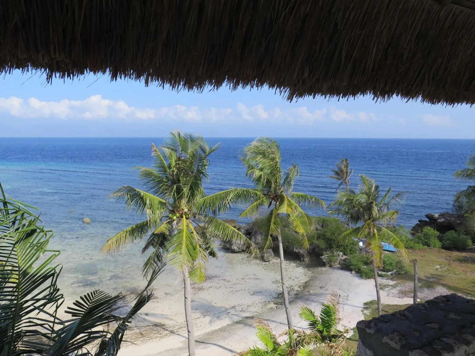 Beach in The Wild Orchid Resort - Moalboal