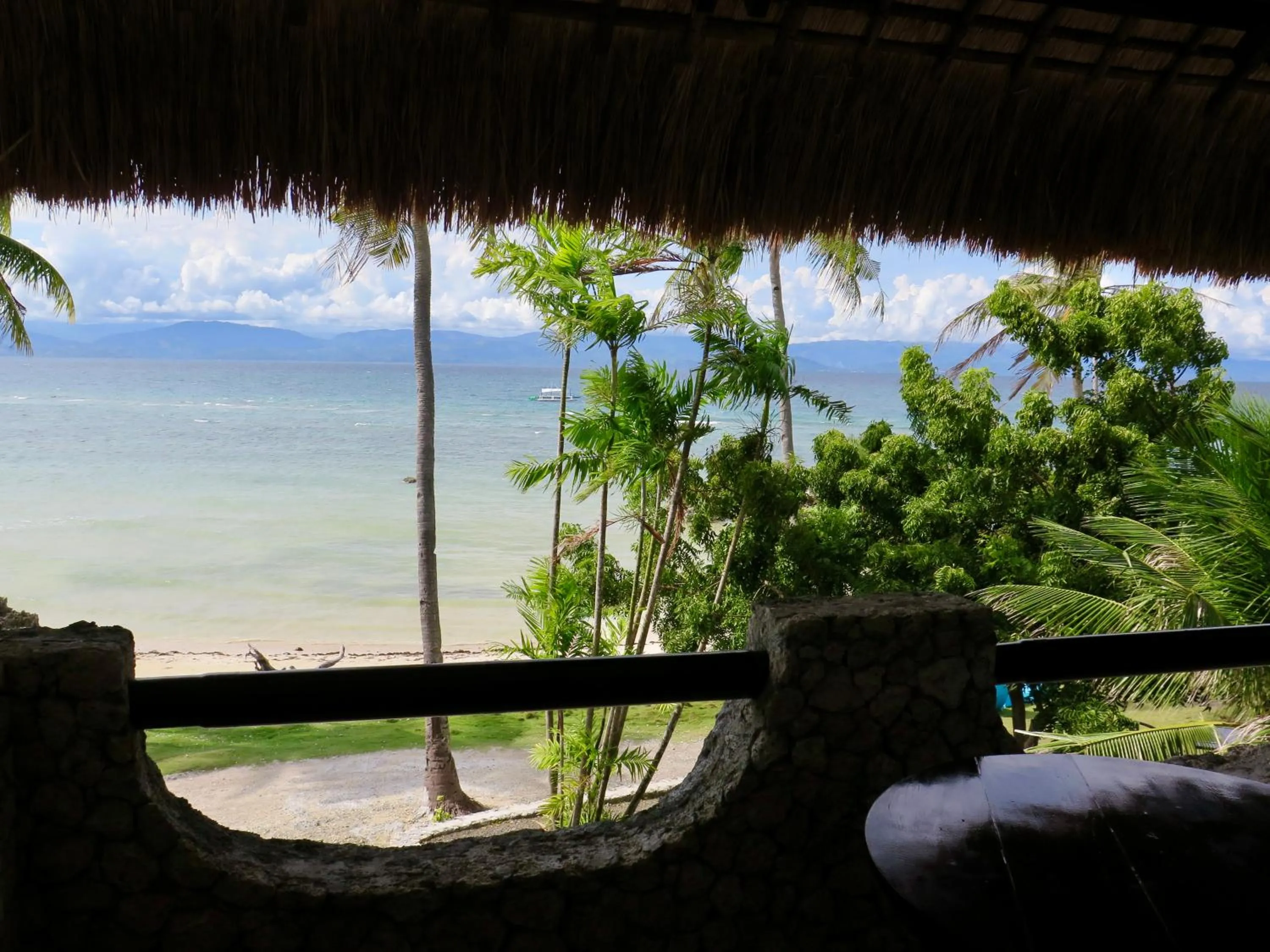 View (from property/room) in The Wild Orchid Resort - Moalboal