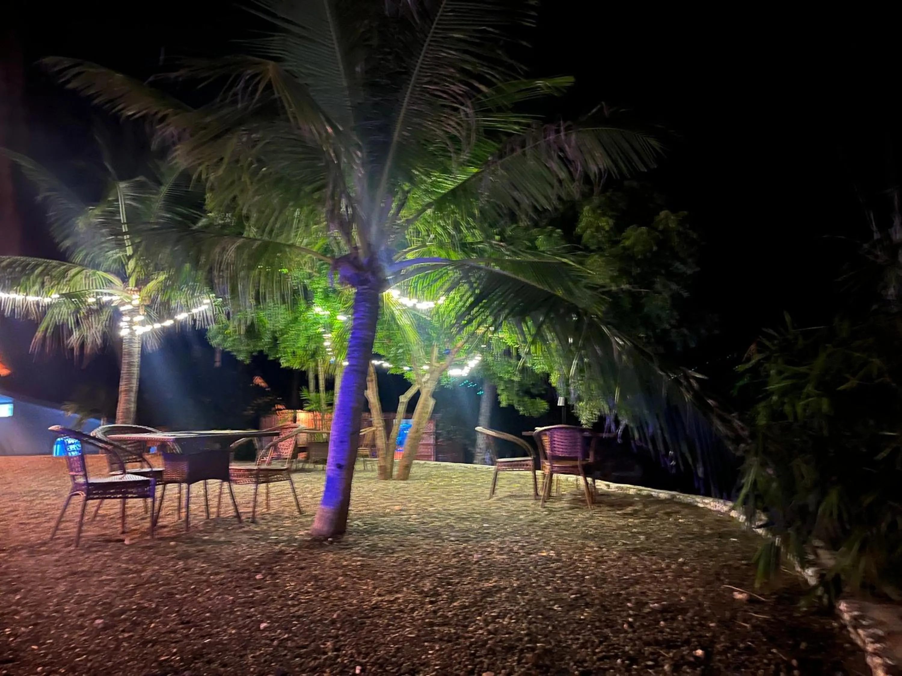 Restaurant/places to eat in The Wild Orchid Resort - Moalboal