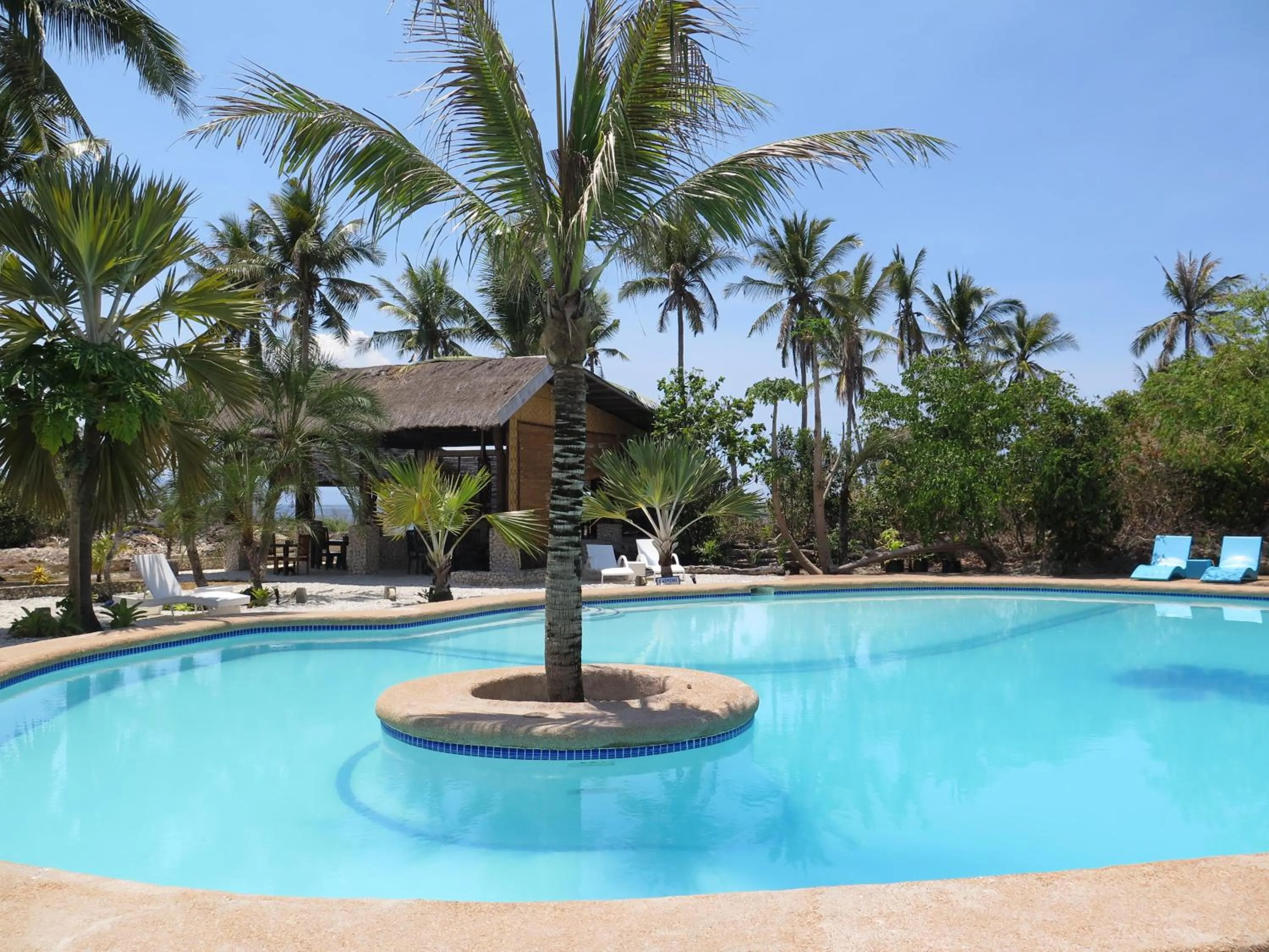 Swimming pool in The Wild Orchid Resort - Moalboal