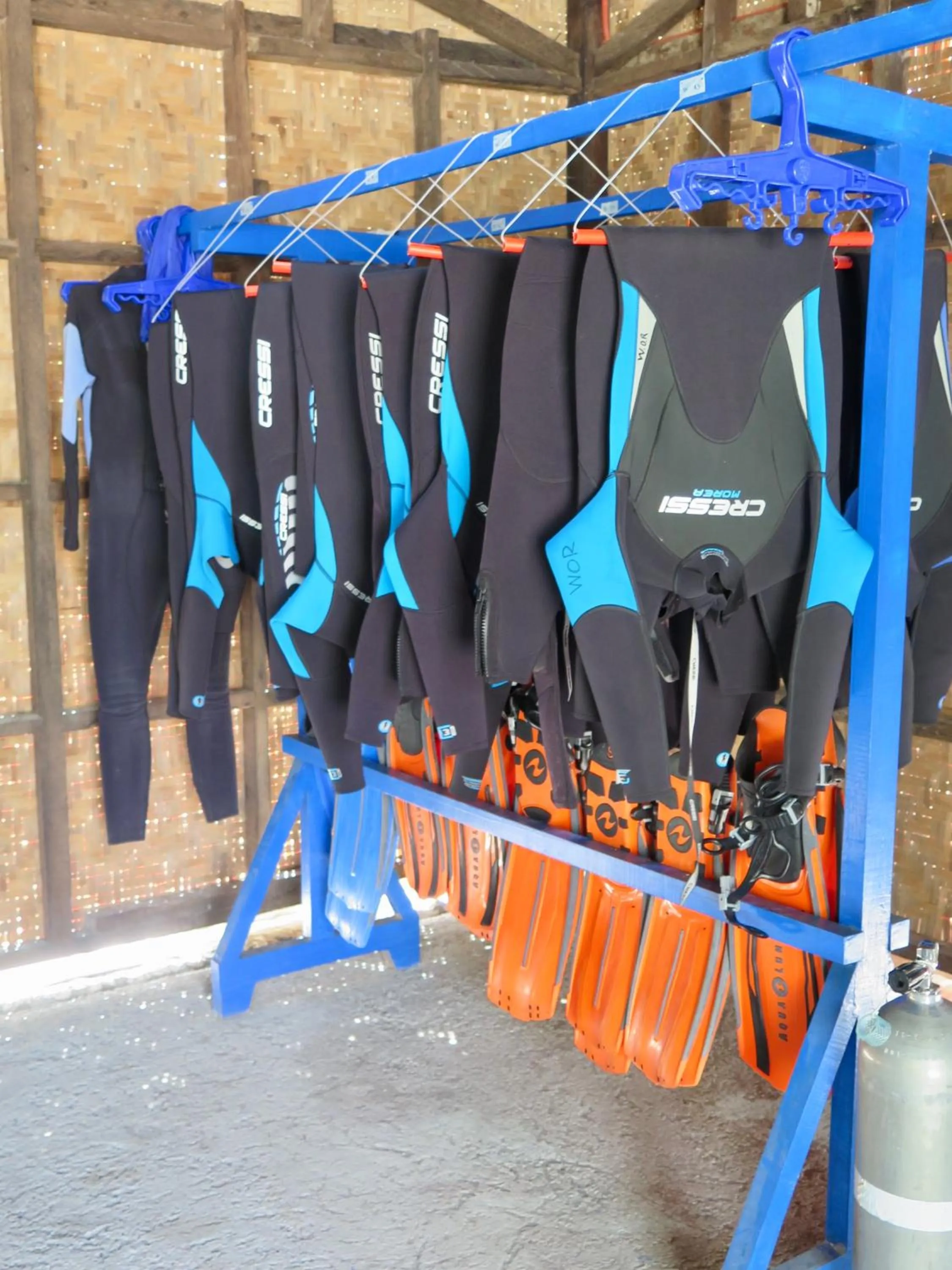 Diving in The Wild Orchid Resort - Moalboal