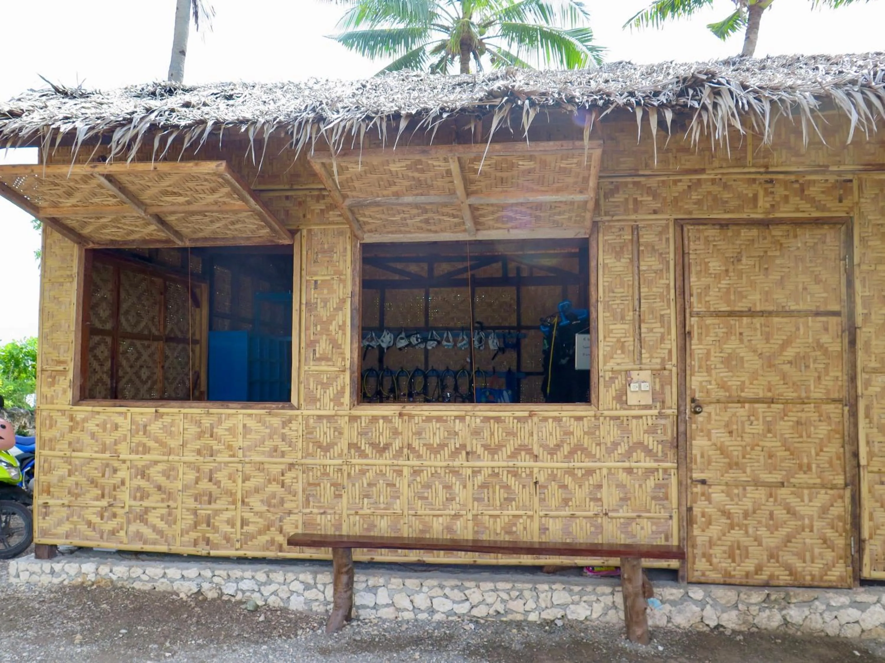 Diving in The Wild Orchid Resort - Moalboal