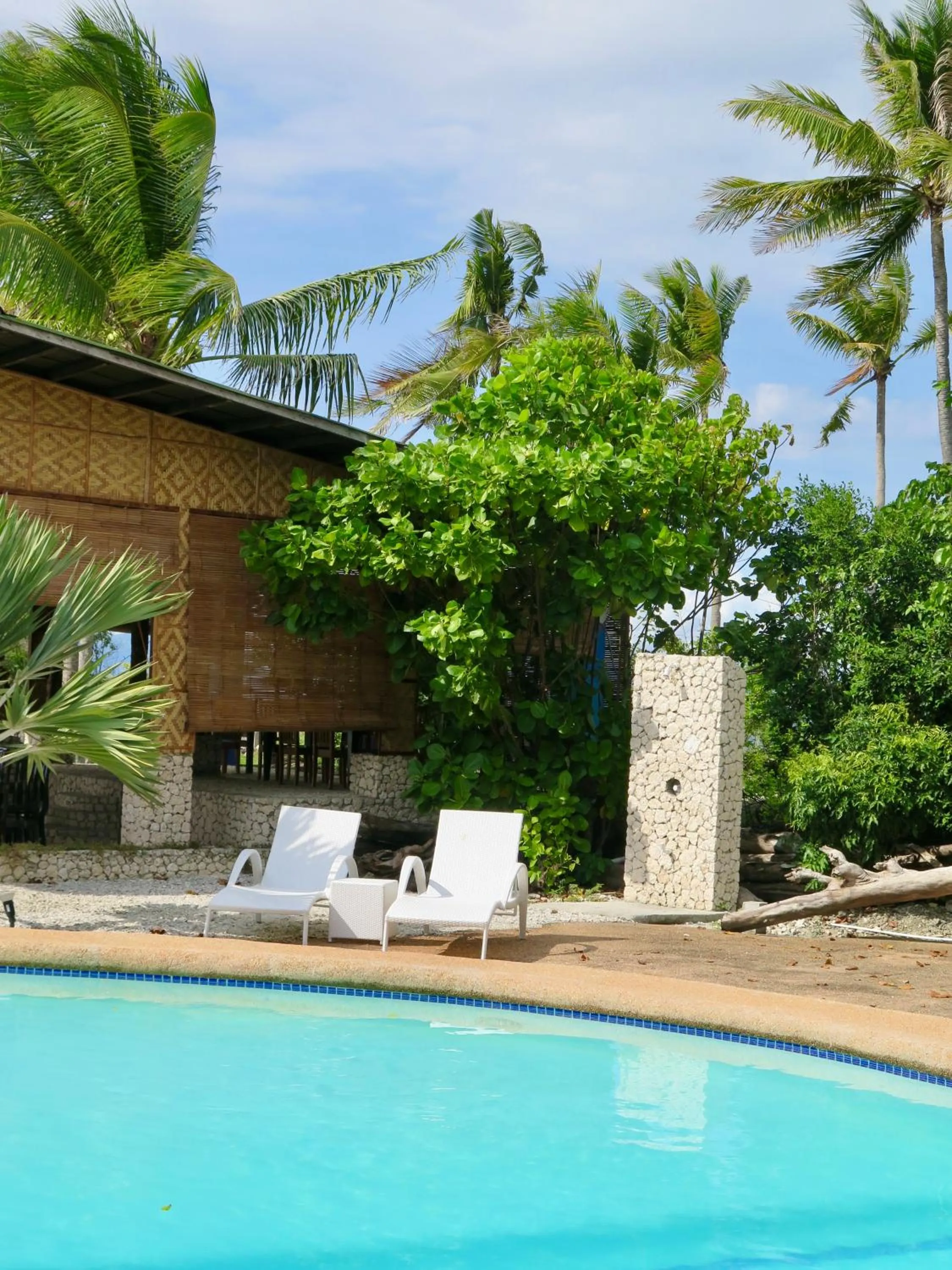 Pool view in The Wild Orchid Resort - Moalboal