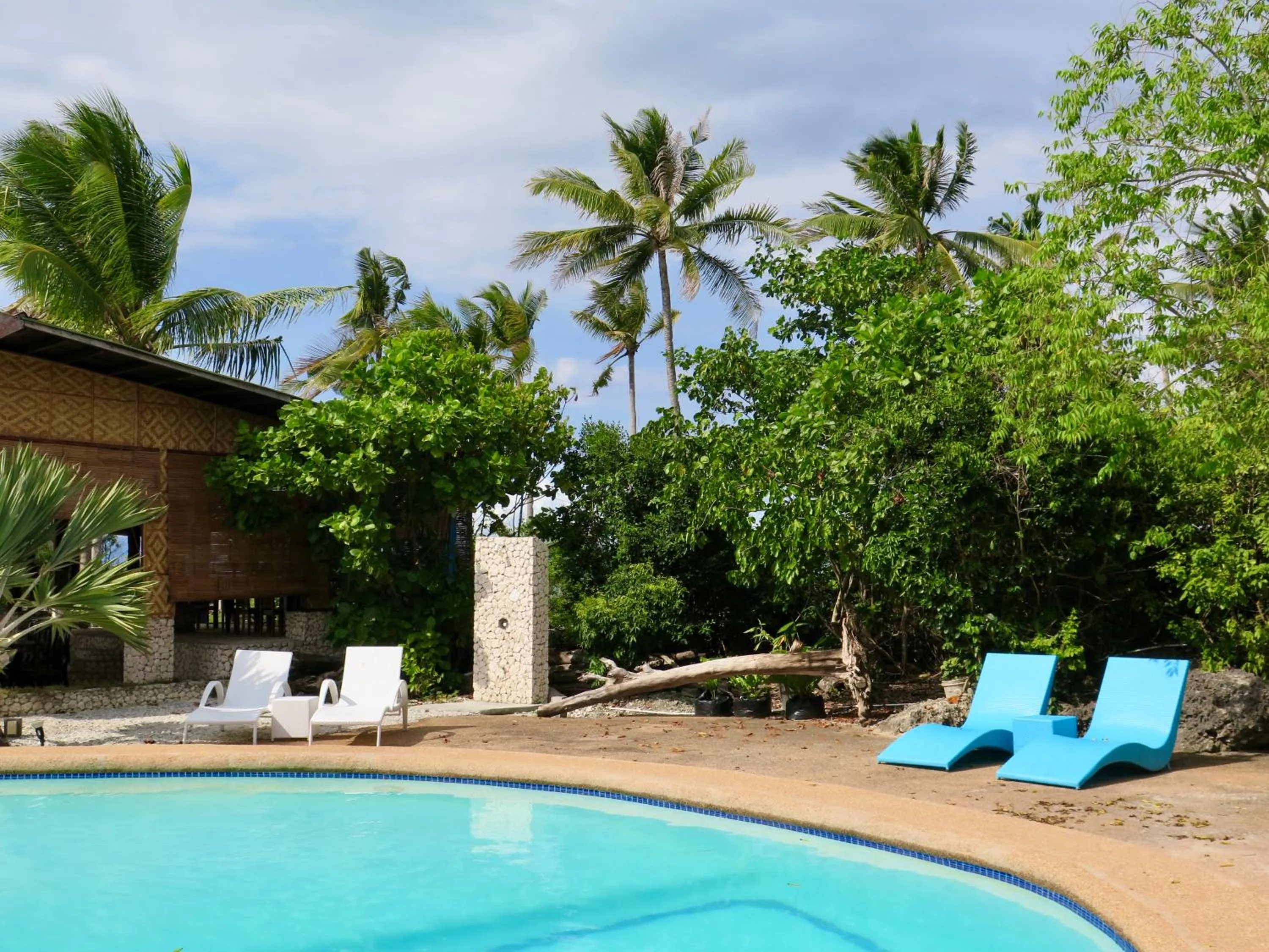 Pool view in The Wild Orchid Resort - Moalboal