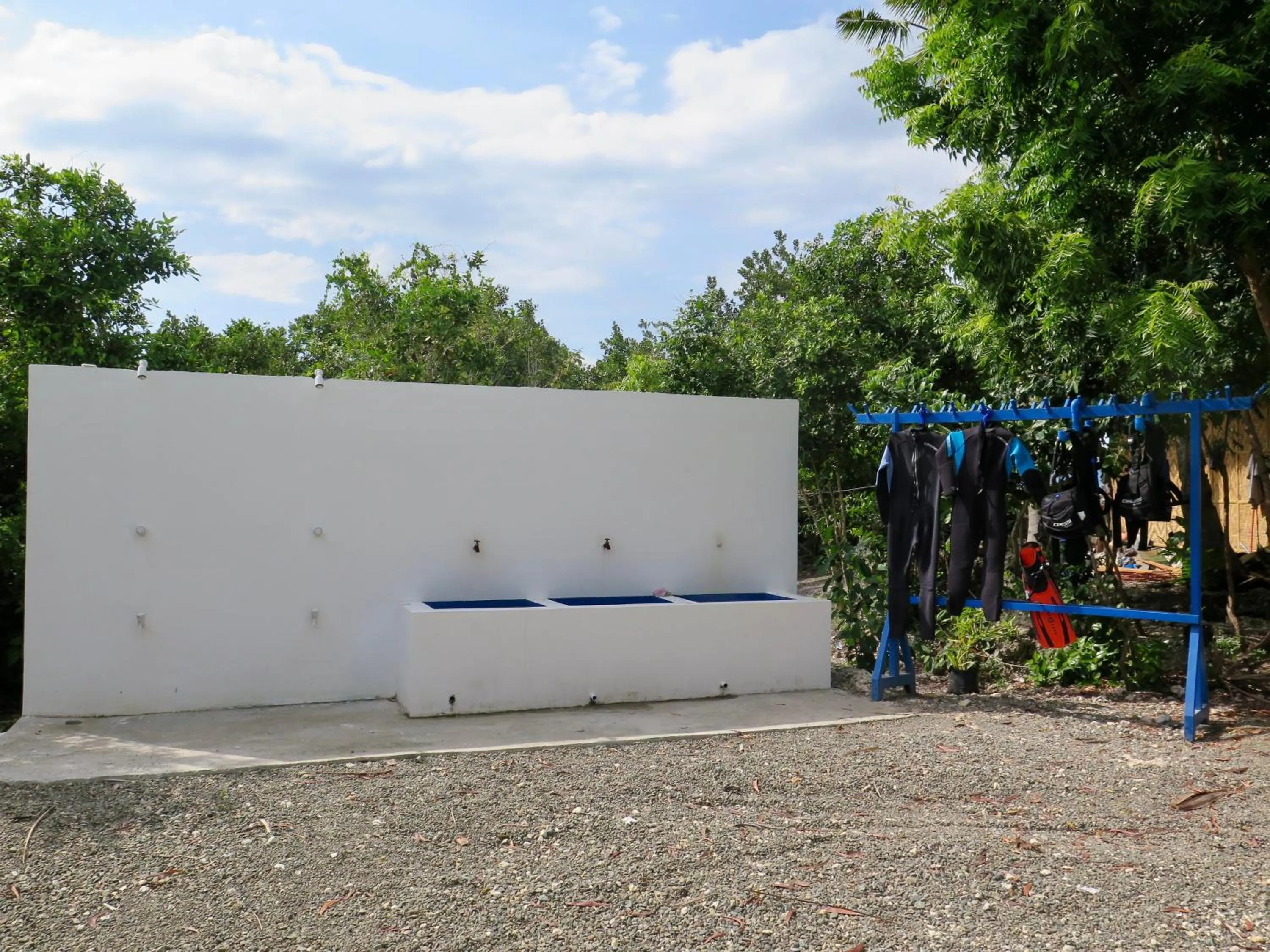 Diving in The Wild Orchid Resort - Moalboal