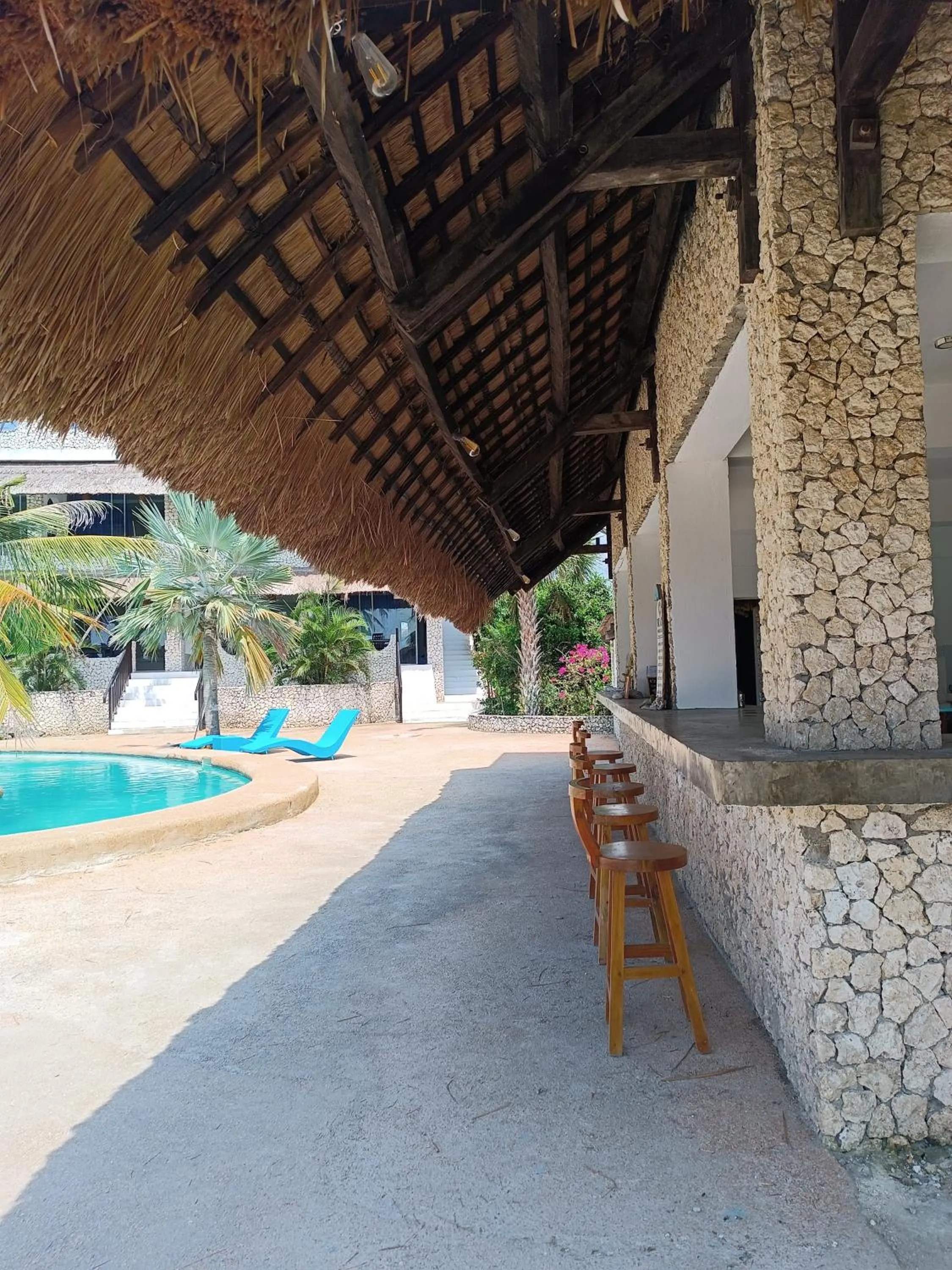 Restaurant/places to eat in The Wild Orchid Resort - Moalboal