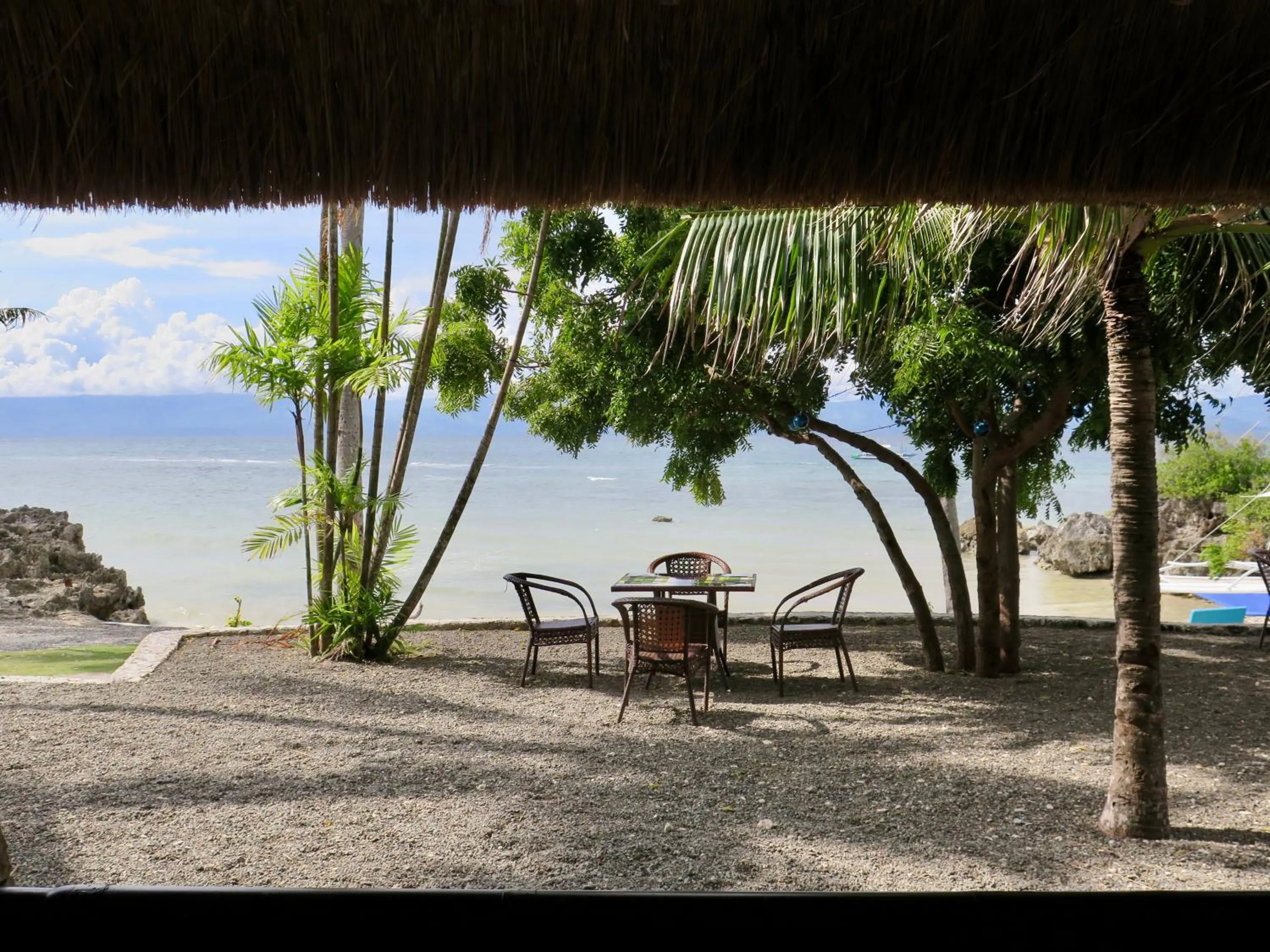 Restaurant/places to eat in The Wild Orchid Resort - Moalboal