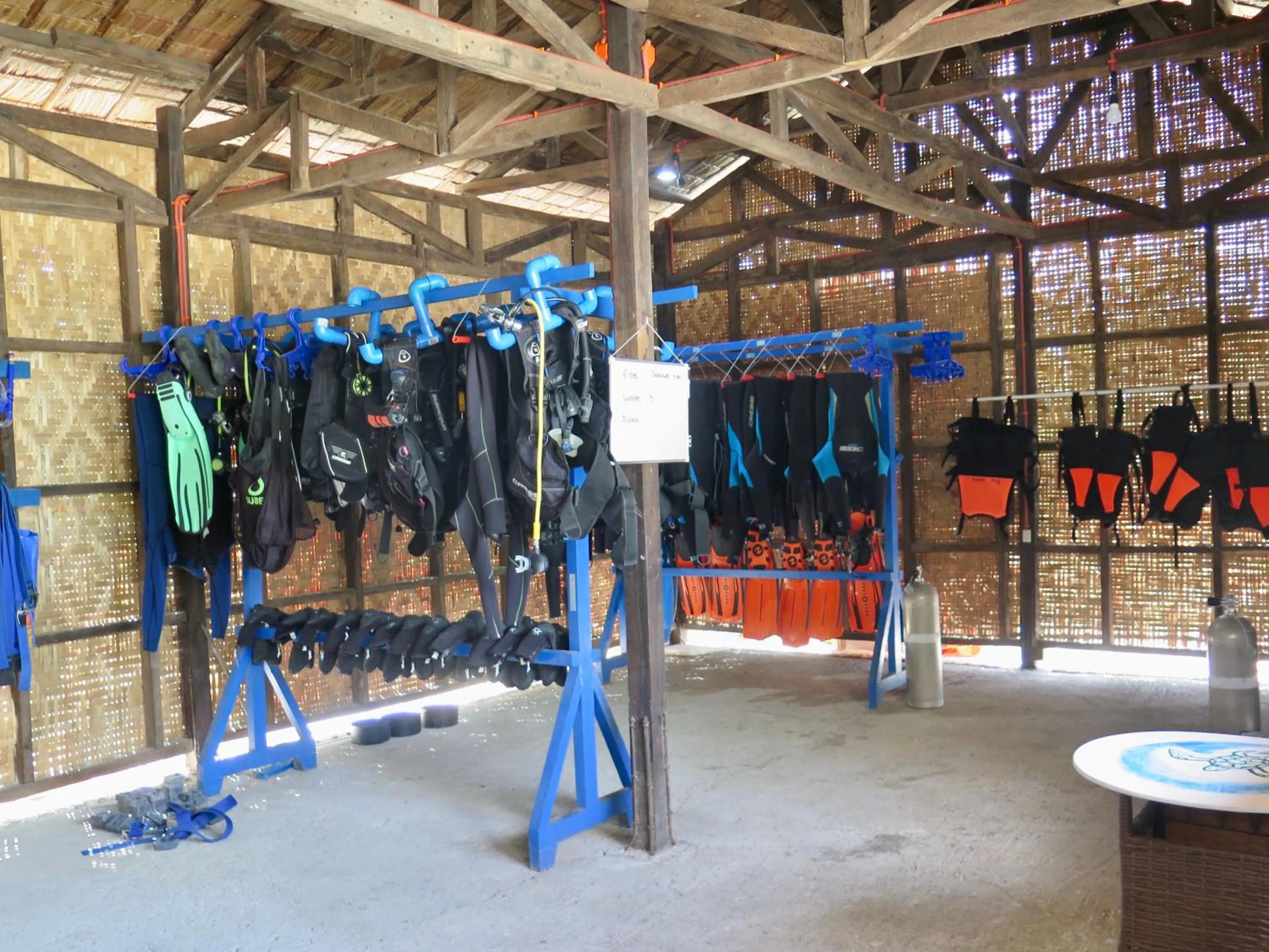 Diving in The Wild Orchid Resort - Moalboal