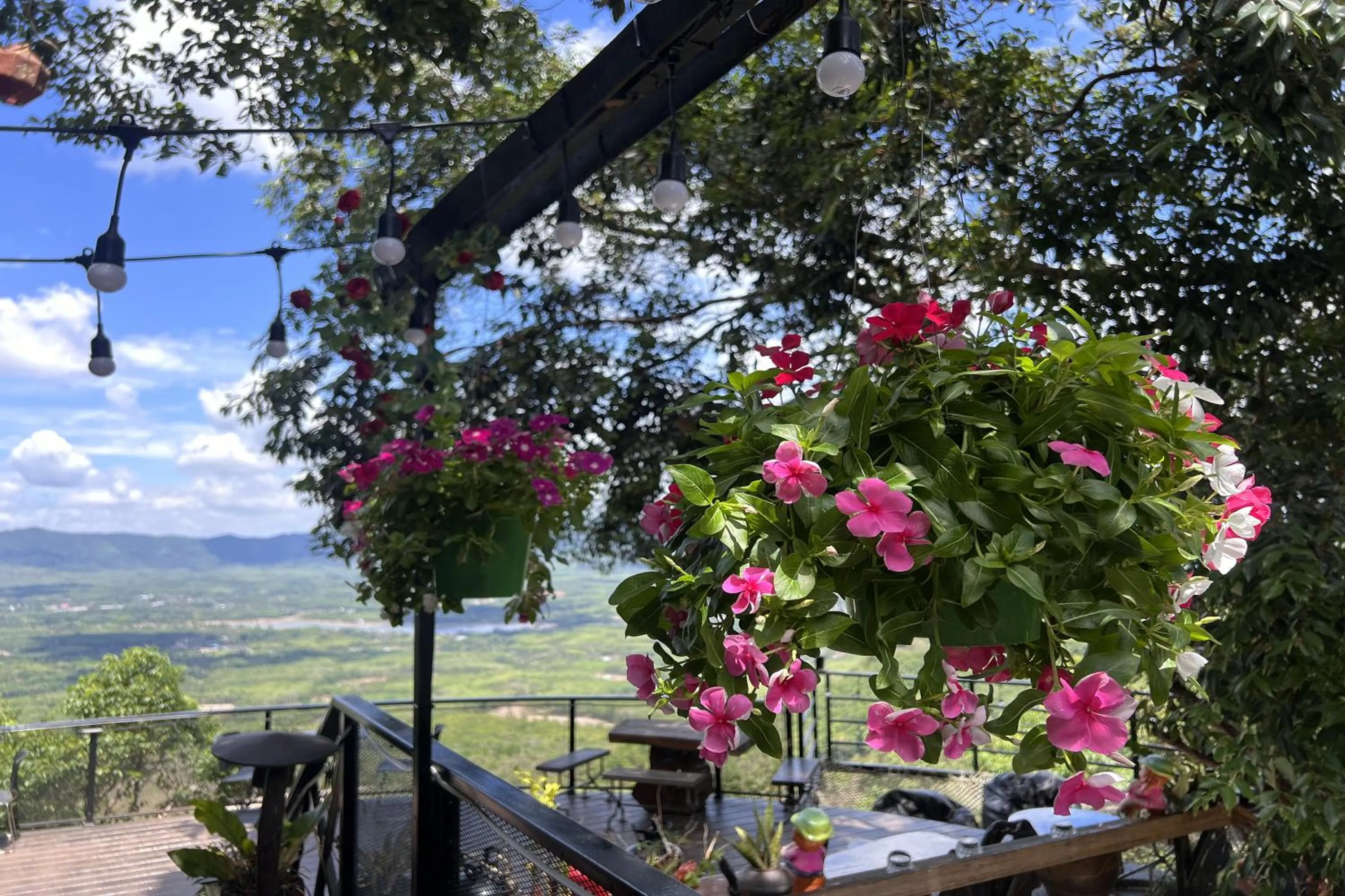 Natural landscape in Kuan Khan Lao The Nine Bistro ควนคานหลาว เดอะไนท์ บิสโทร