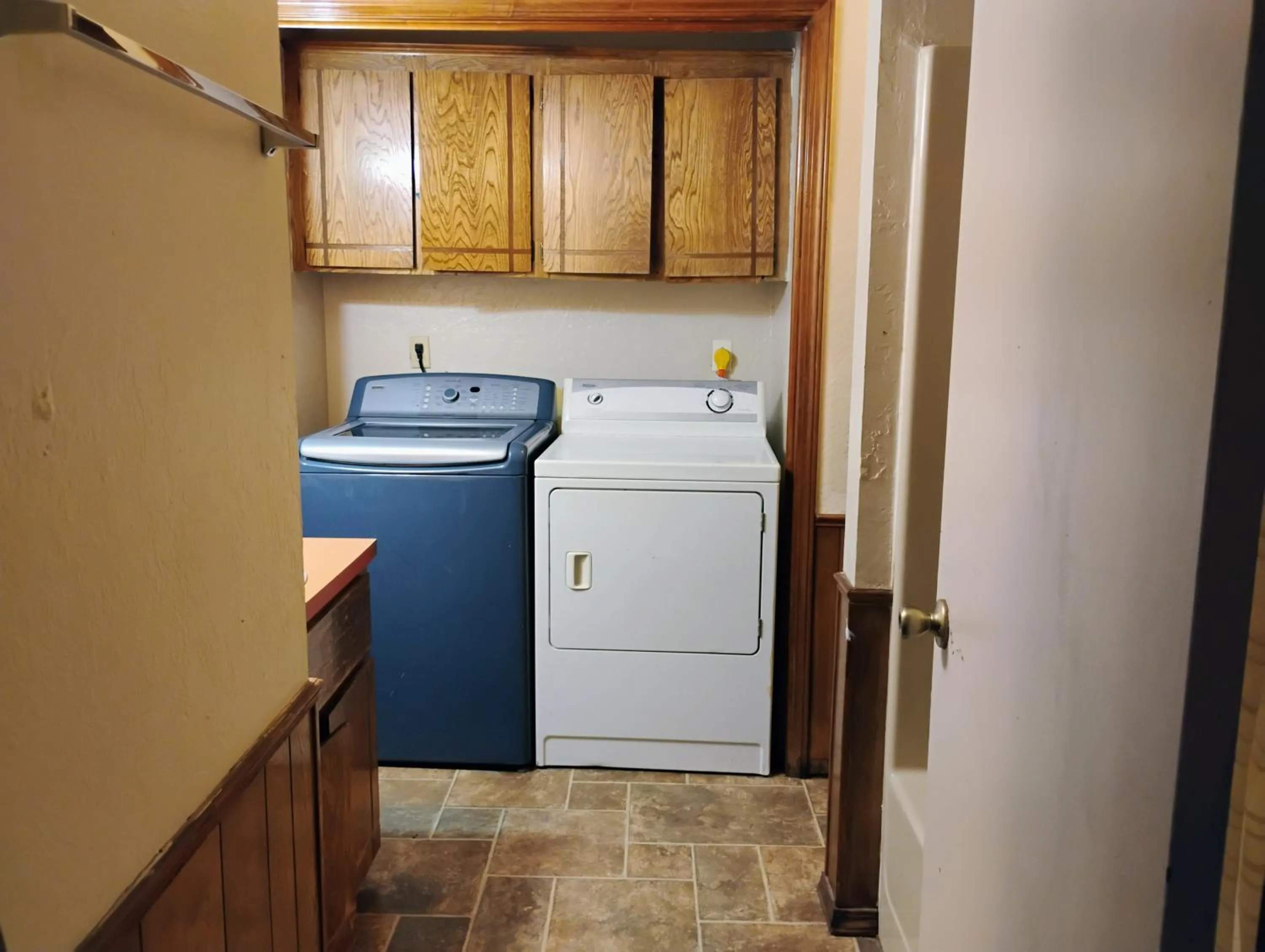 Golden Sunflower's Apt C