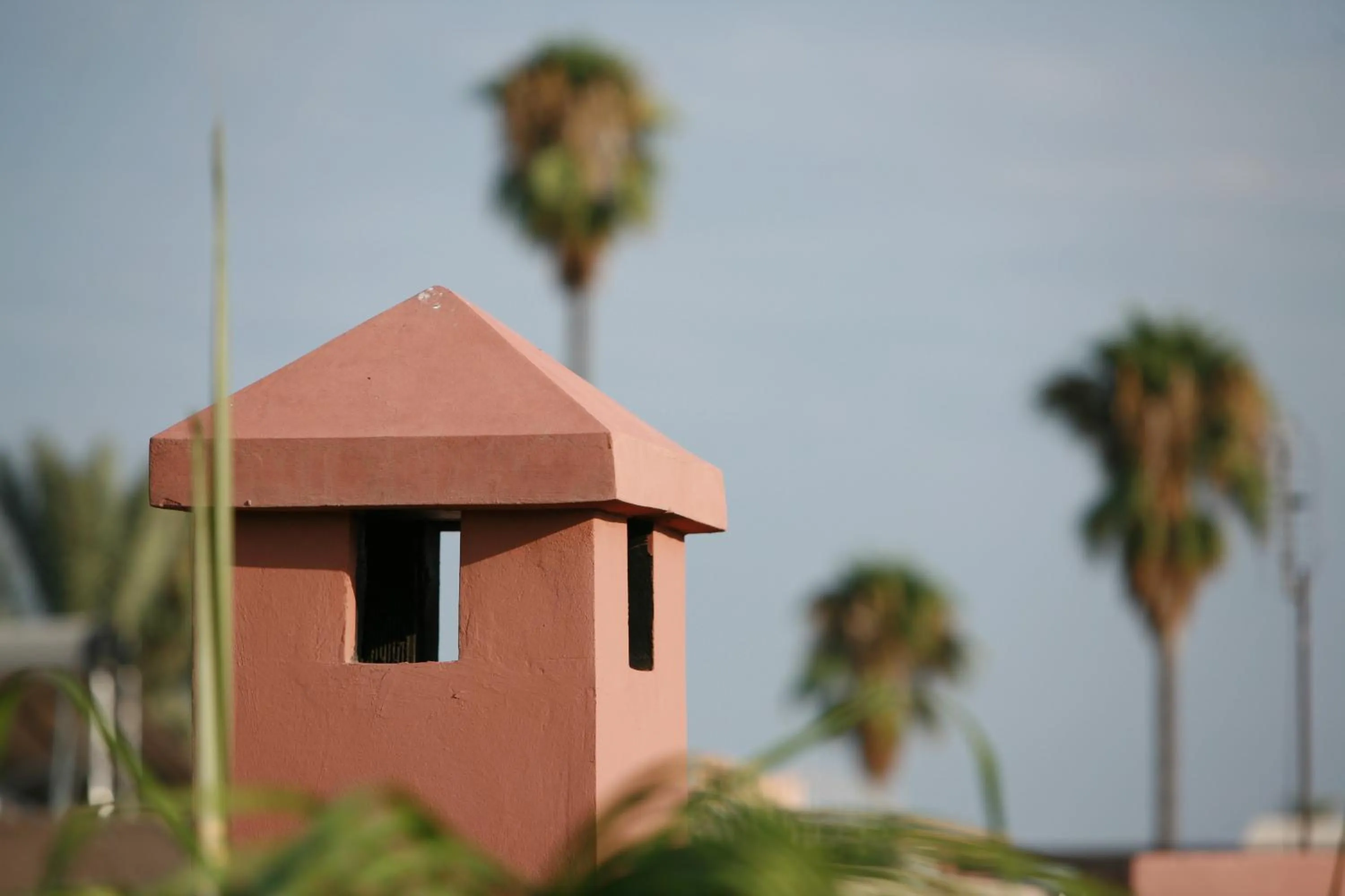 Patio in Riad Mariana