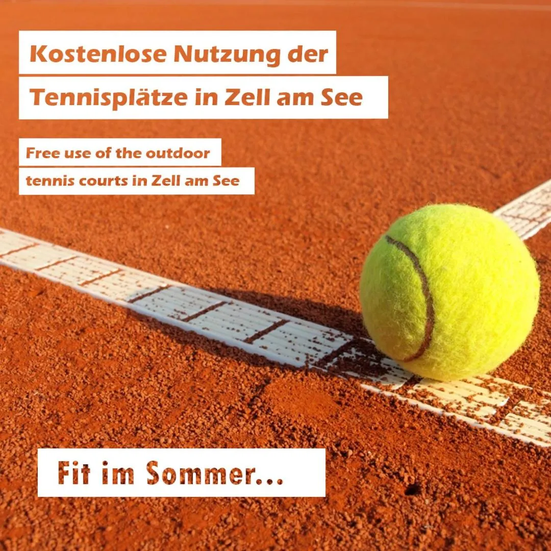 Activities in Apartment Dreamski Zell am See town, near lake