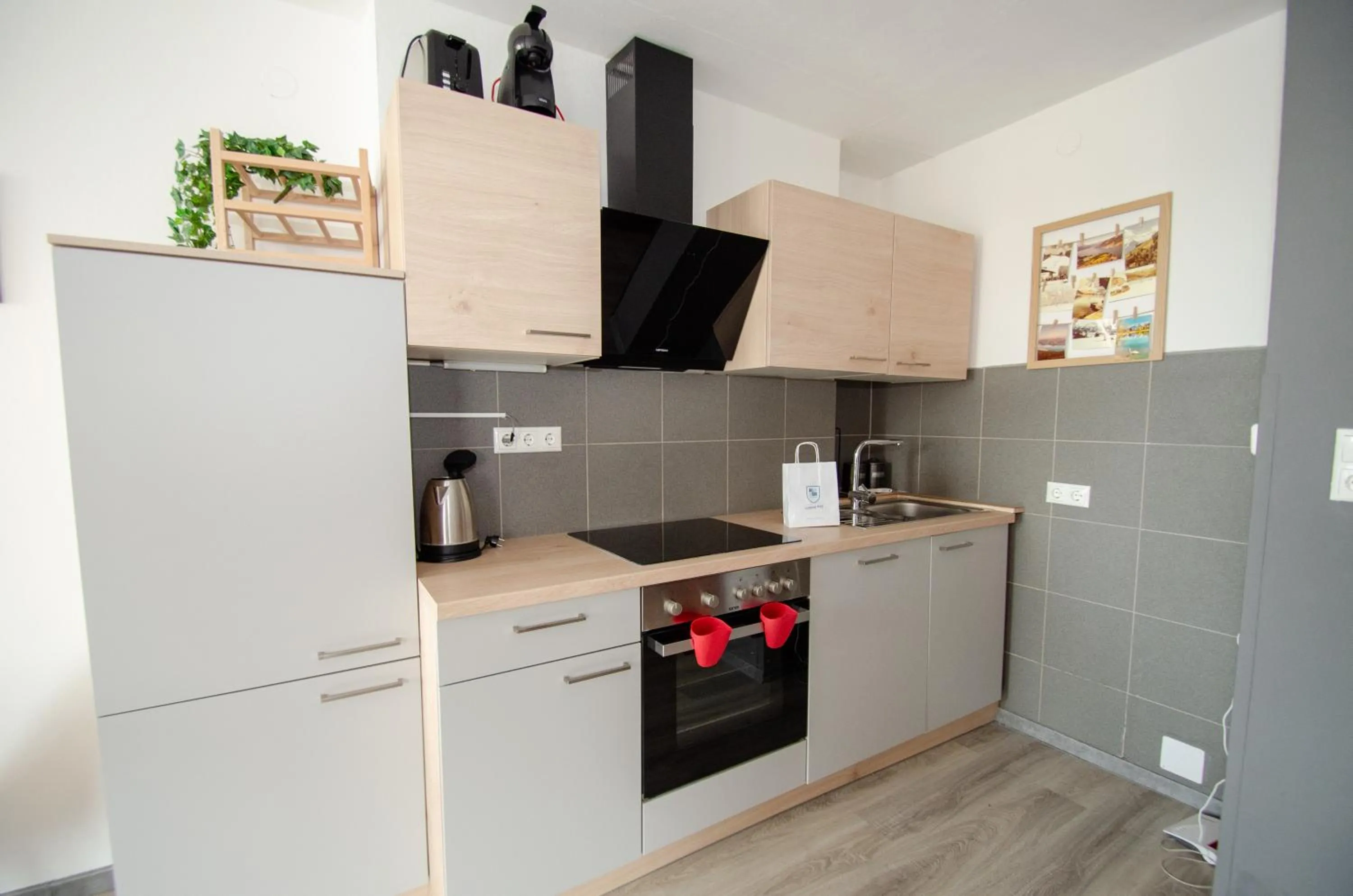 Kitchen or kitchenette in Apartment Dreamski Zell am See town, near lake