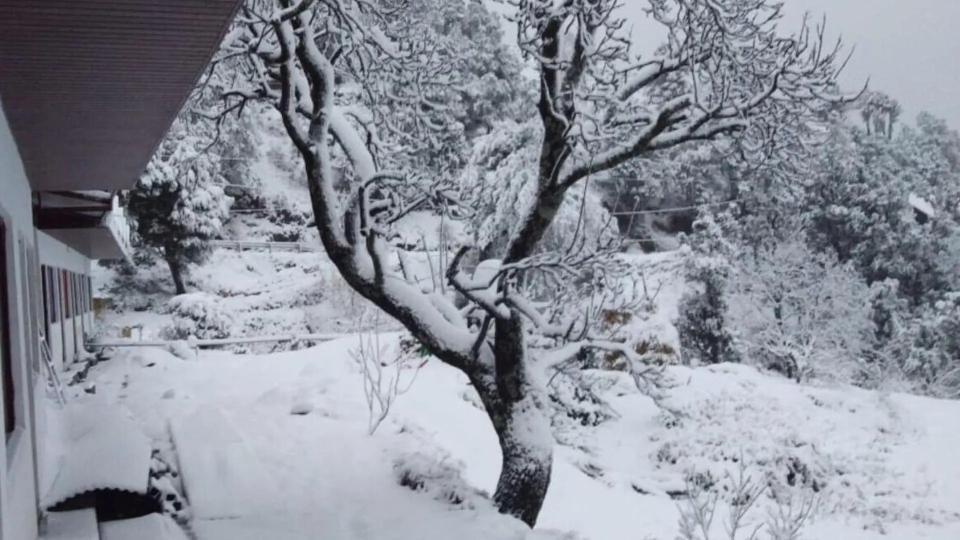 Natural landscape in Haut Monde King's Paradise Resort