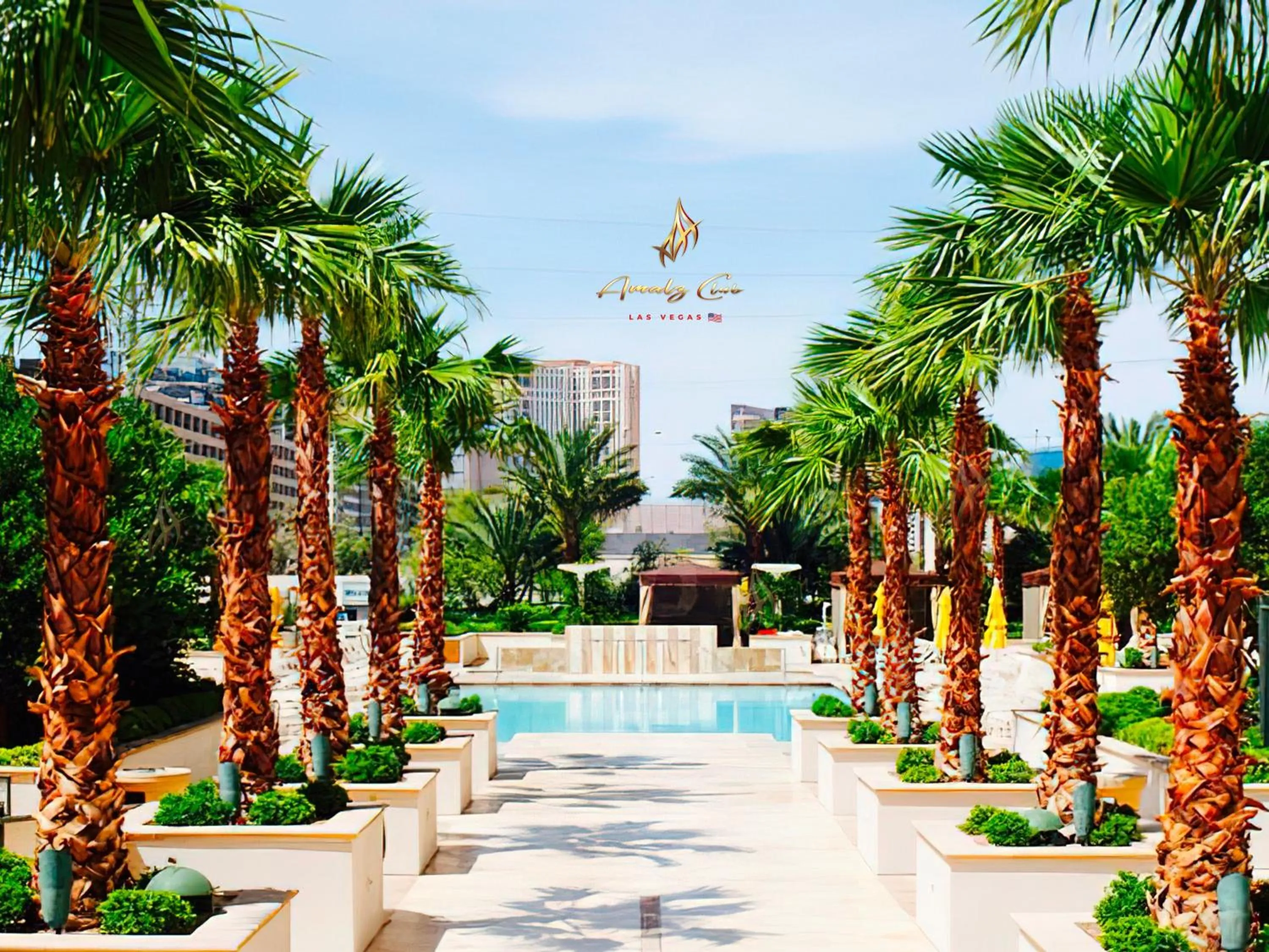 Swimming pool in Amalz 2 Bedroom 3 Bathroom Balcony Suites at Mgm Signature !