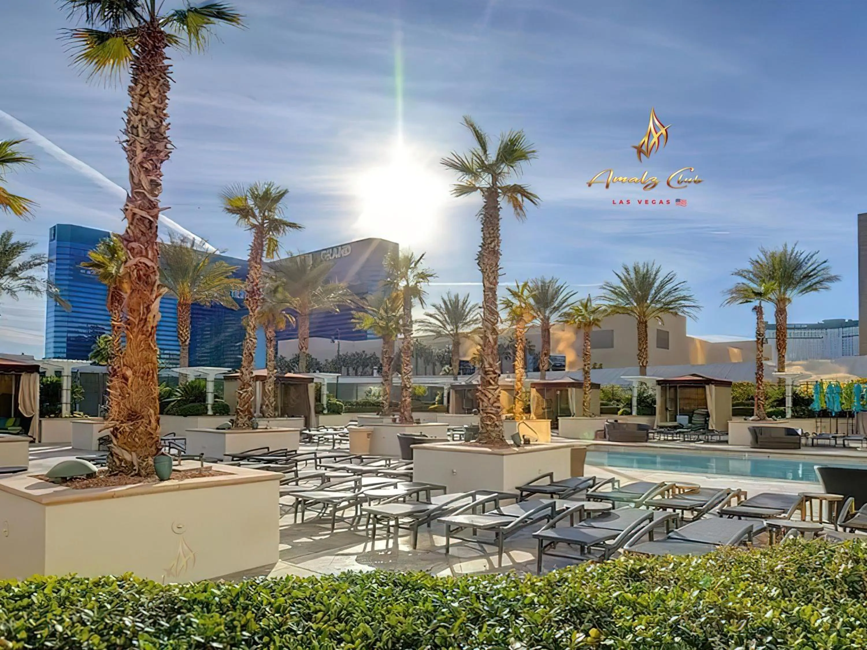 Pool view in Amalz 2 Bedroom 3 Bathroom Balcony Suites at Mgm Signature !