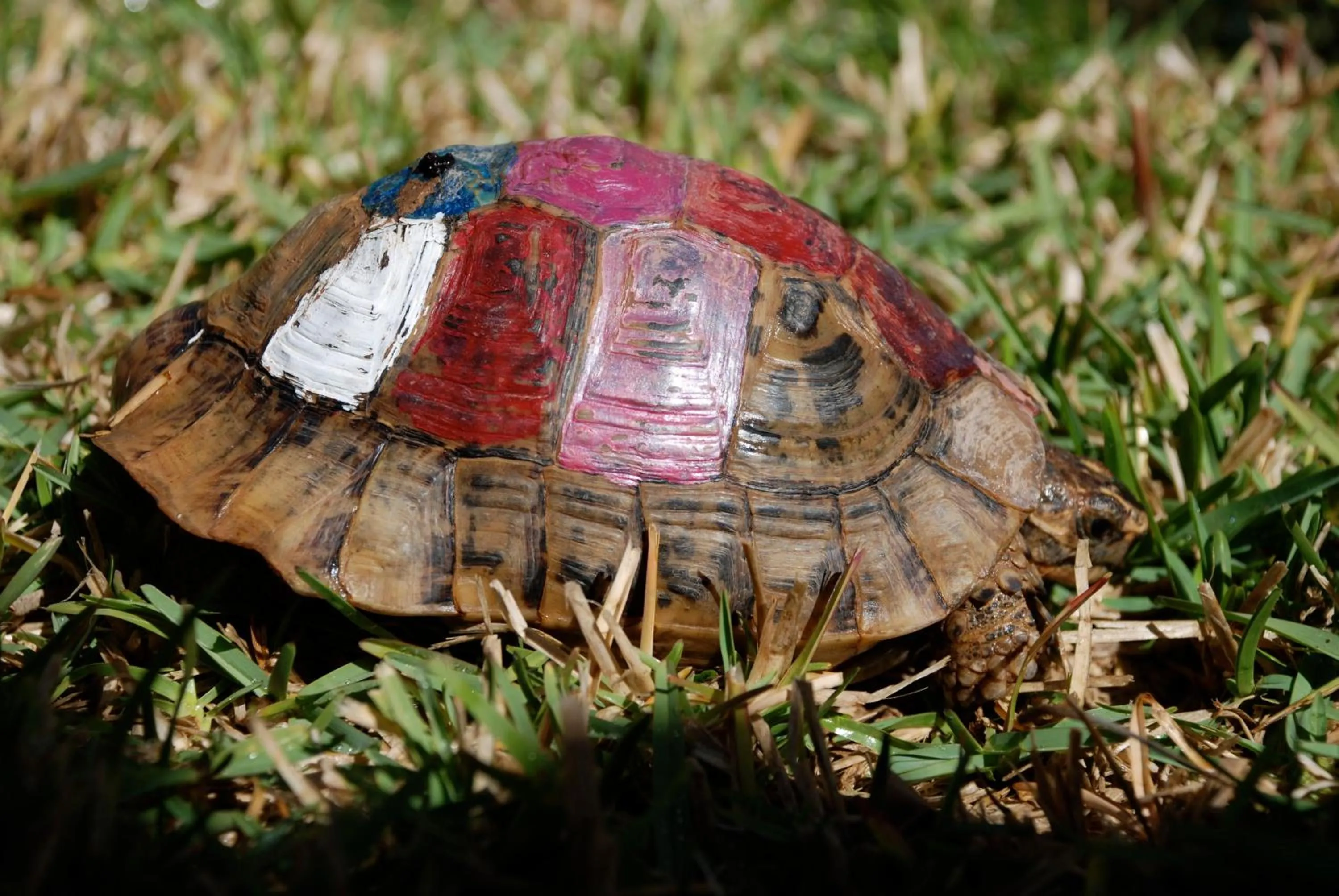 Other in Hotel Dar Zitoune Taroudant