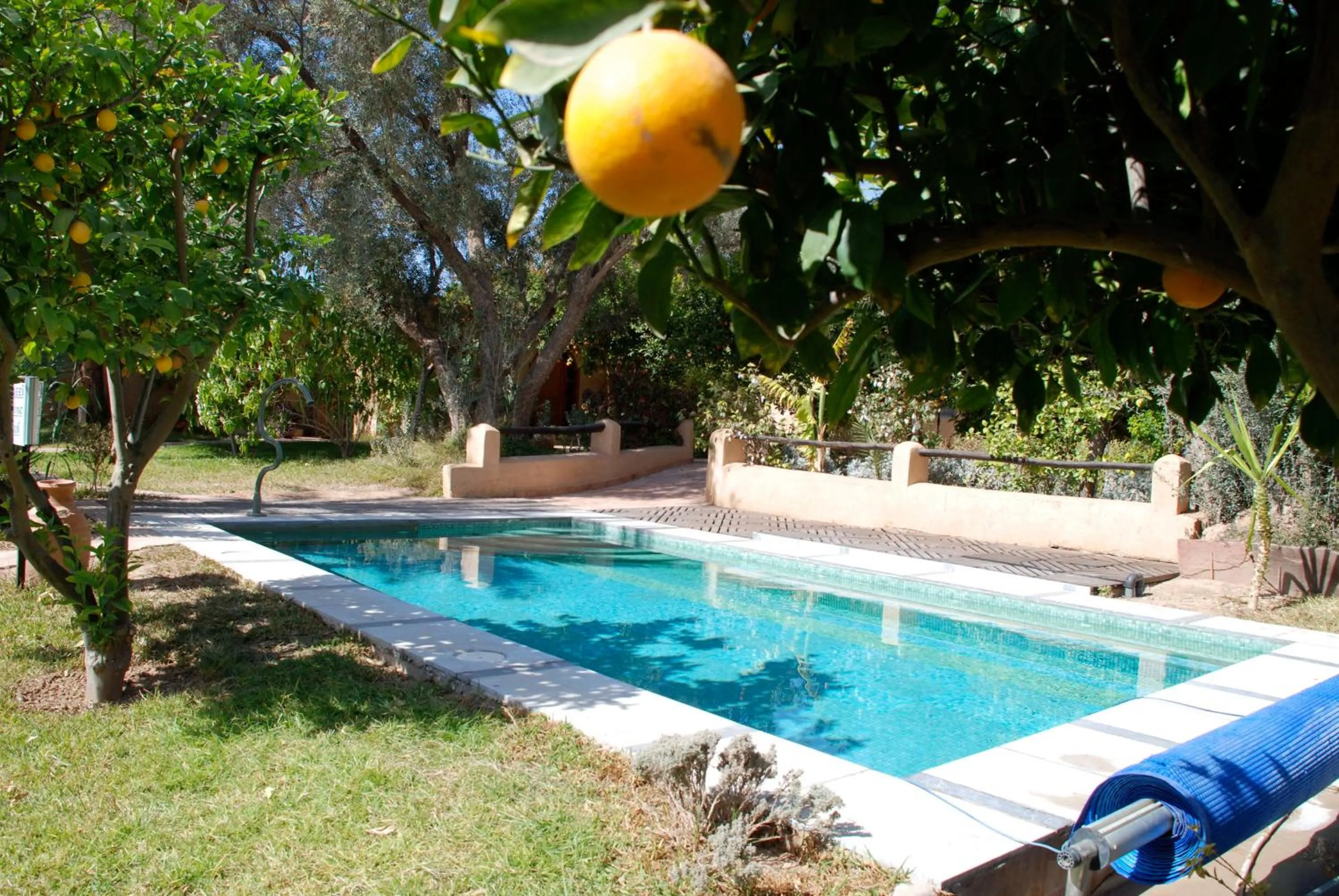 Swimming pool in Hotel Dar Zitoune Taroudant
