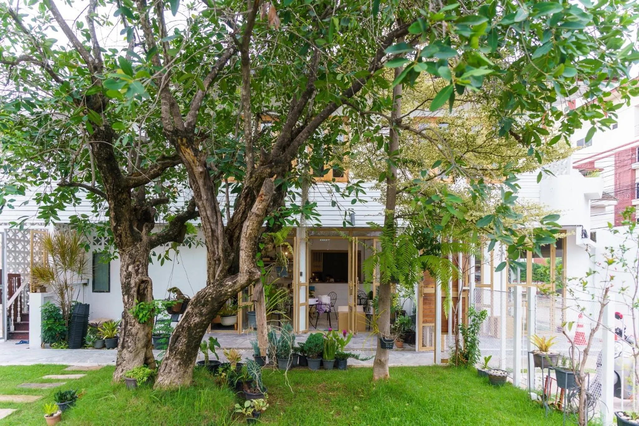 Garden in SherVa101 Home and Hostel