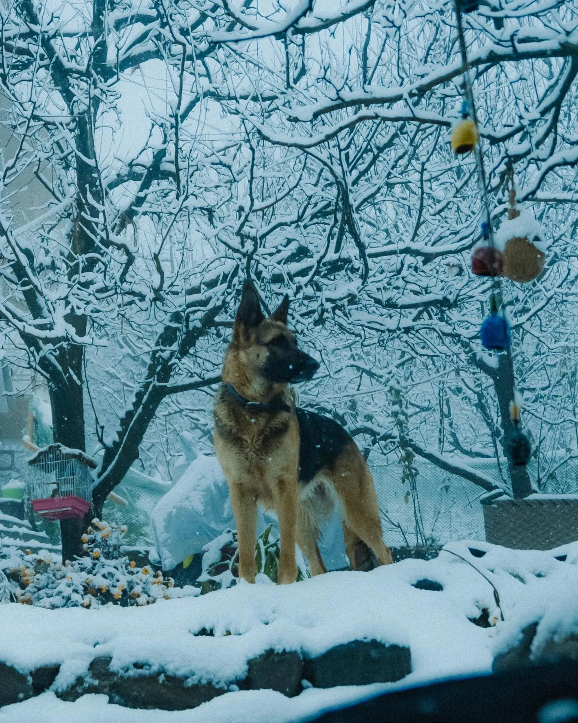 Winter in Shepherd Inn the Hill