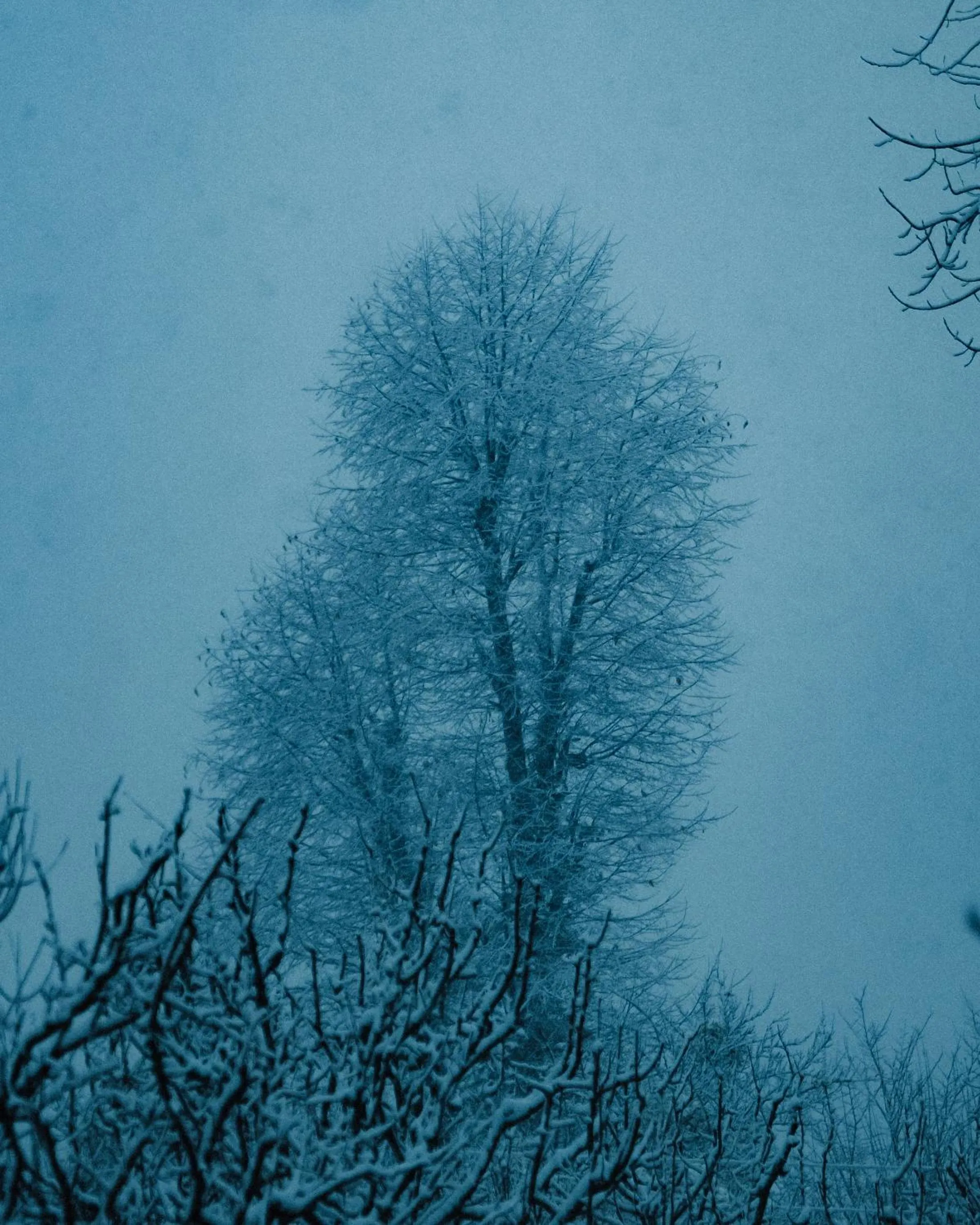 Natural landscape in Shepherd Inn the Hill