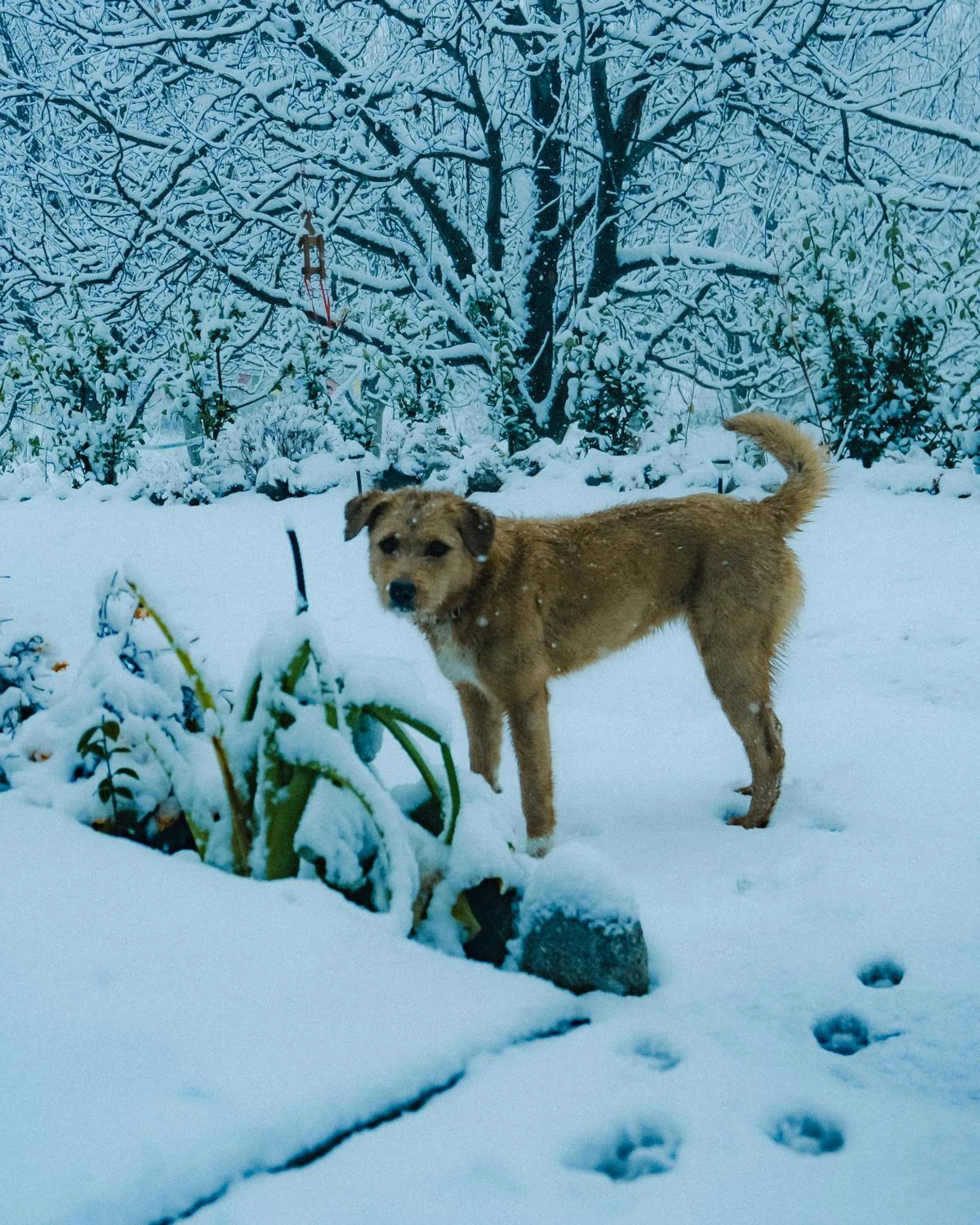 Winter in Shepherd Inn the Hill