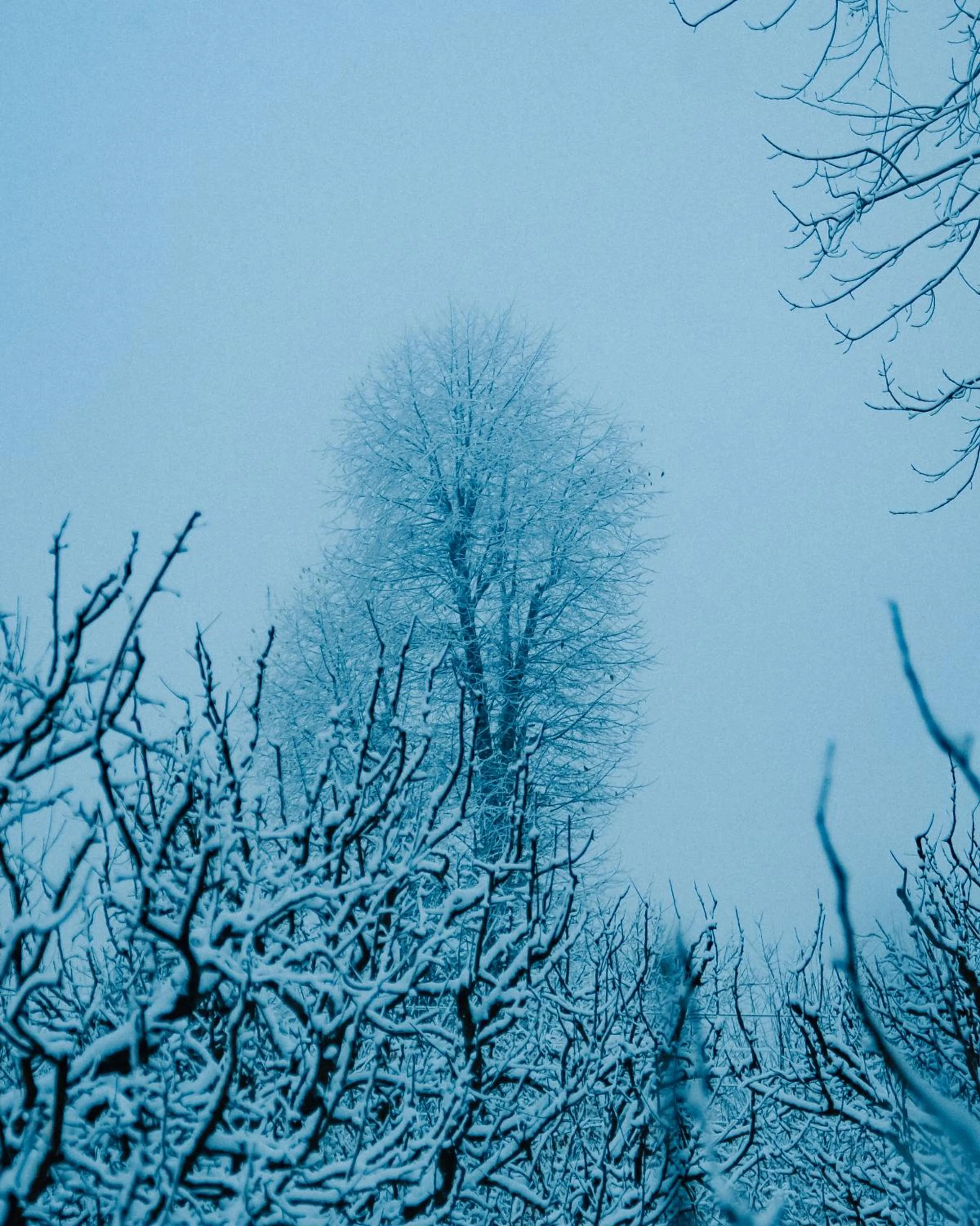 Natural landscape in Shepherd Inn the Hill