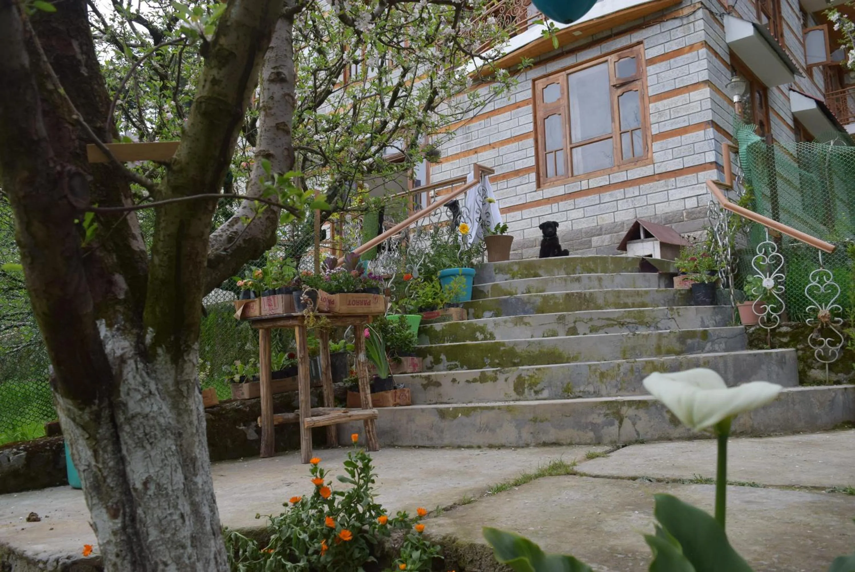 Garden view in Shepherd Inn the Hill