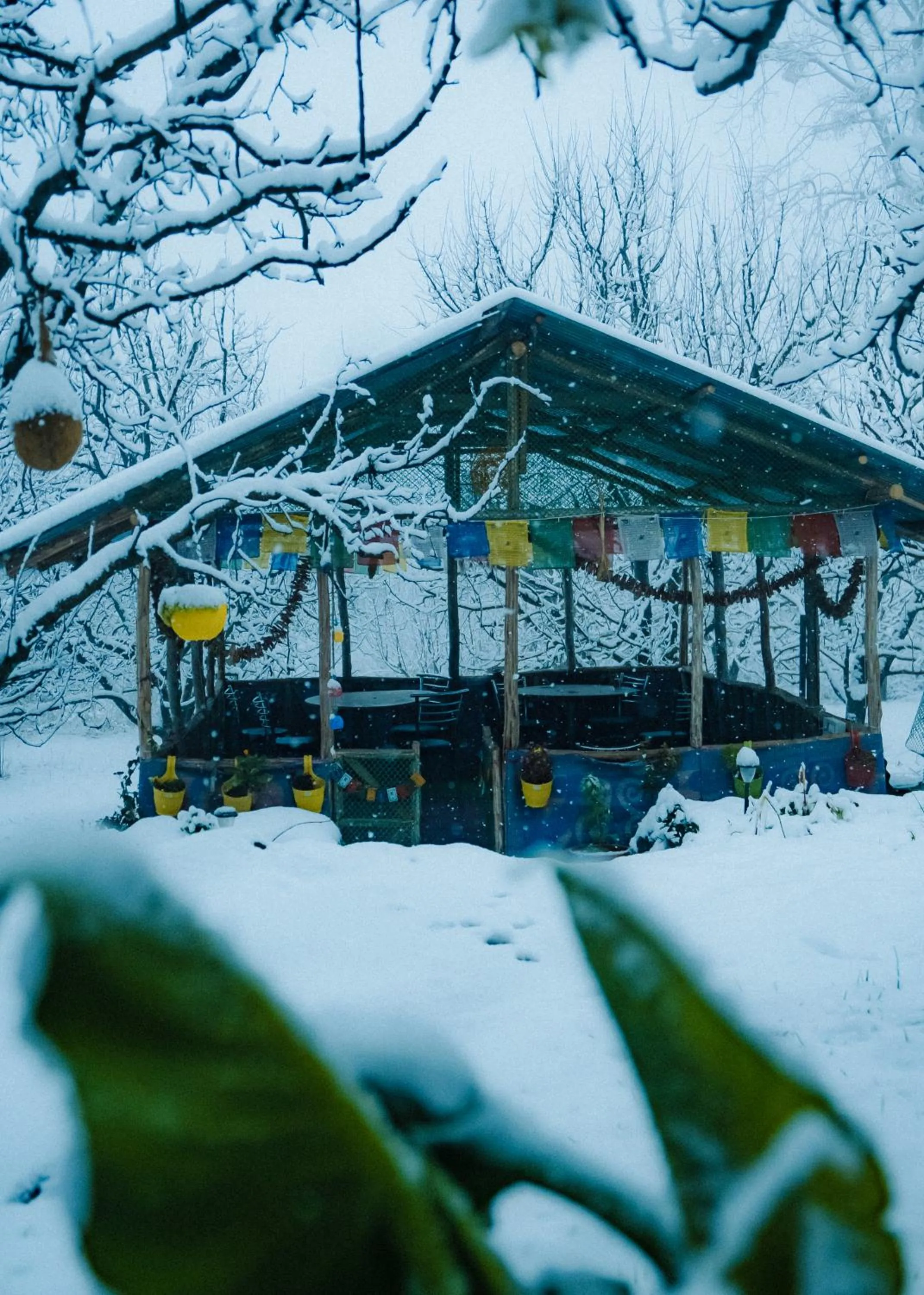 Winter in Shepherd Inn the Hill