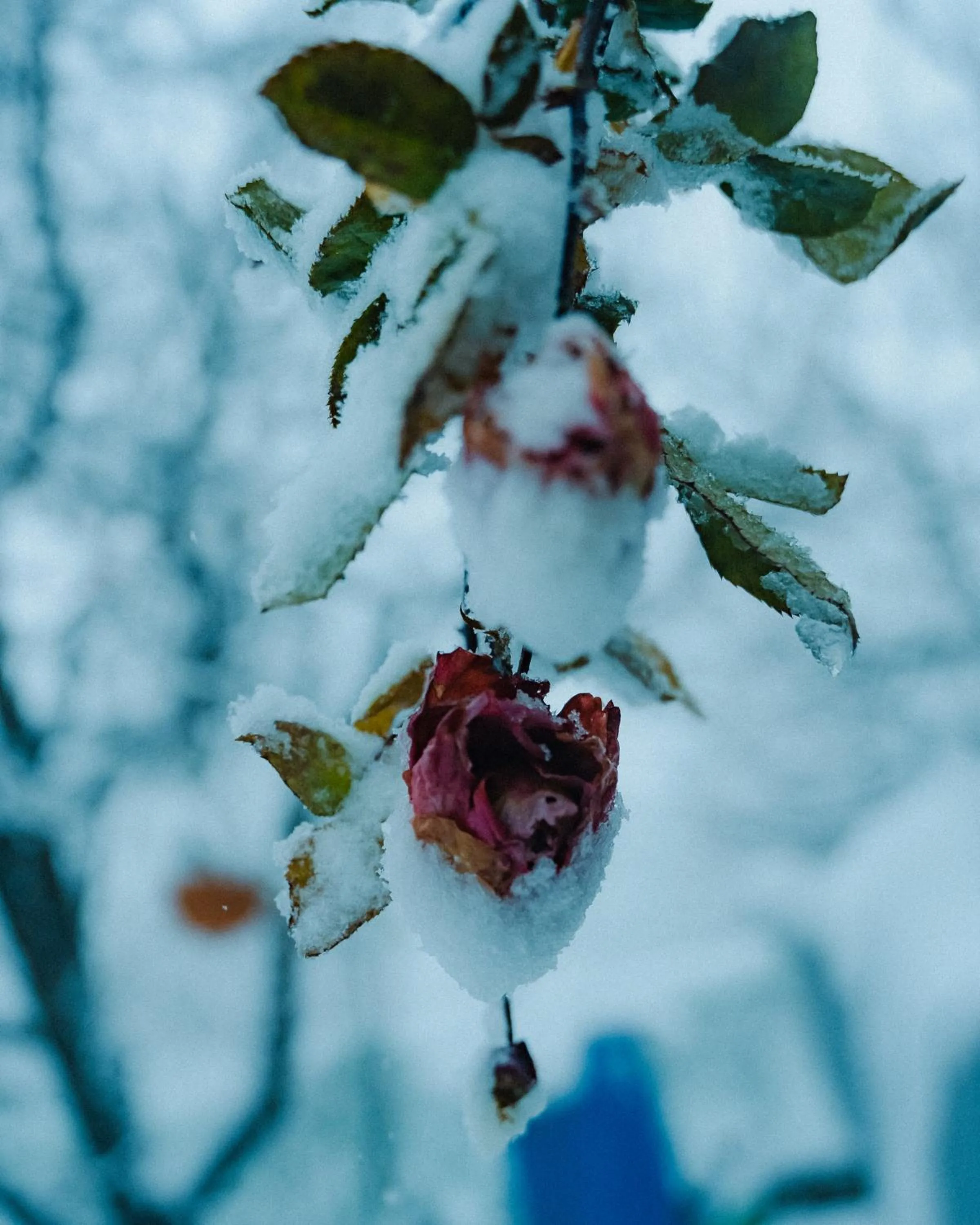 Natural landscape in Shepherd Inn the Hill