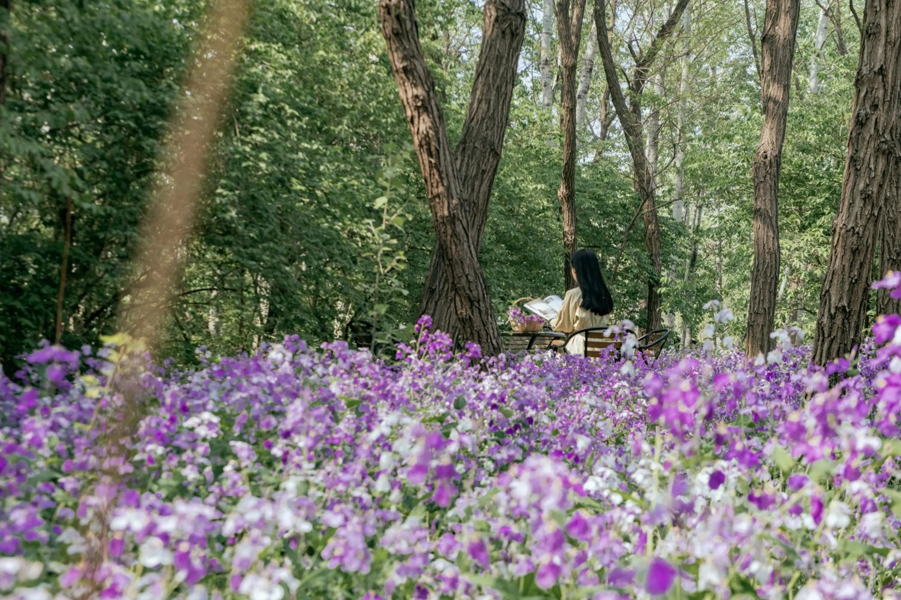 Spring in Zhi Resort Beijing&Peafowl Garden&Breakfast with Deer&Private Hot Spring&50 Meter Swimming Pool&Free Coffee&Close to Olympic Forest Park