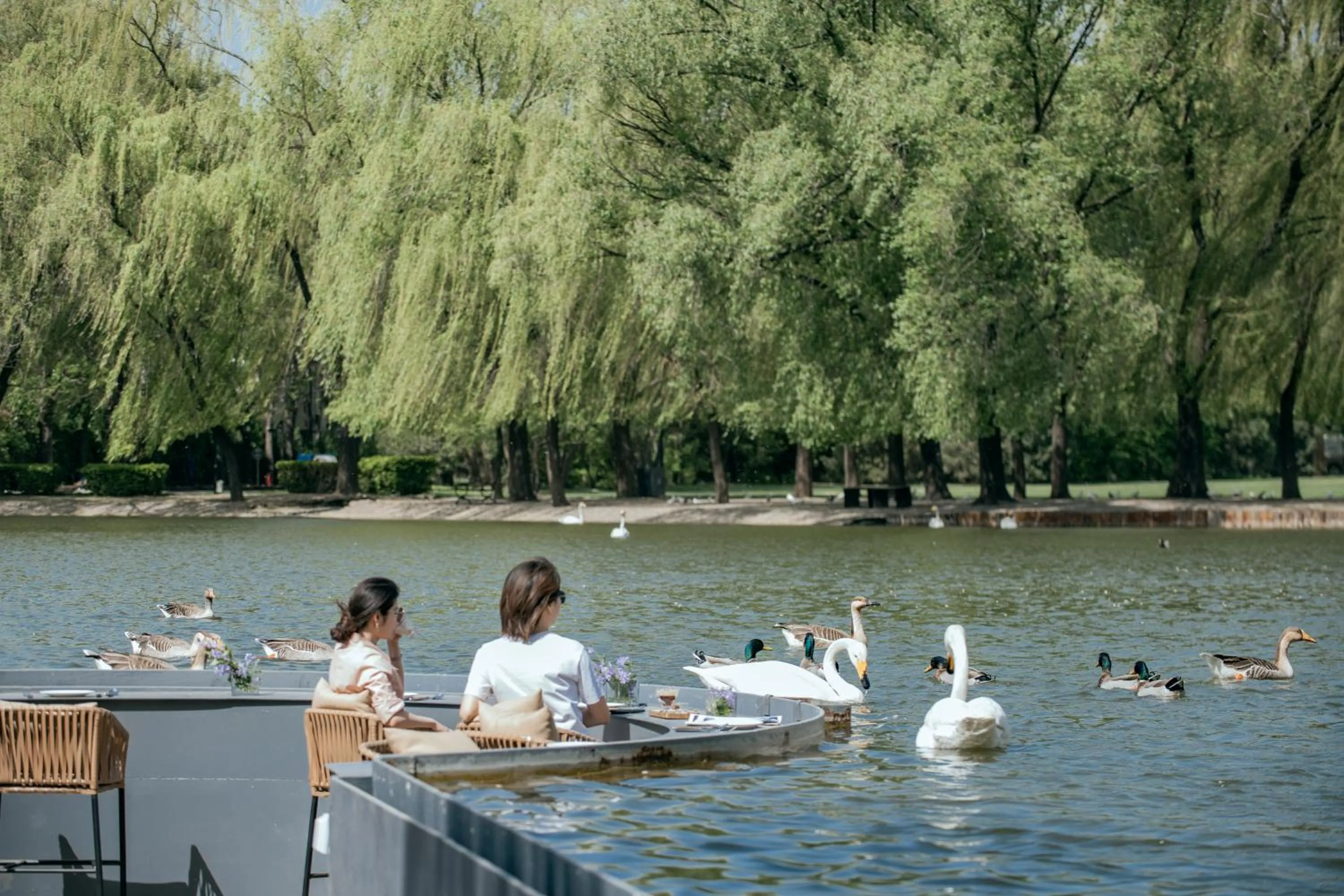 Spring in Zhi Resort Beijing&Peafowl Garden&Breakfast with Deer&Private Hot Spring&50 Meter Swimming Pool&Free Coffee&Close to Olympic Forest Park