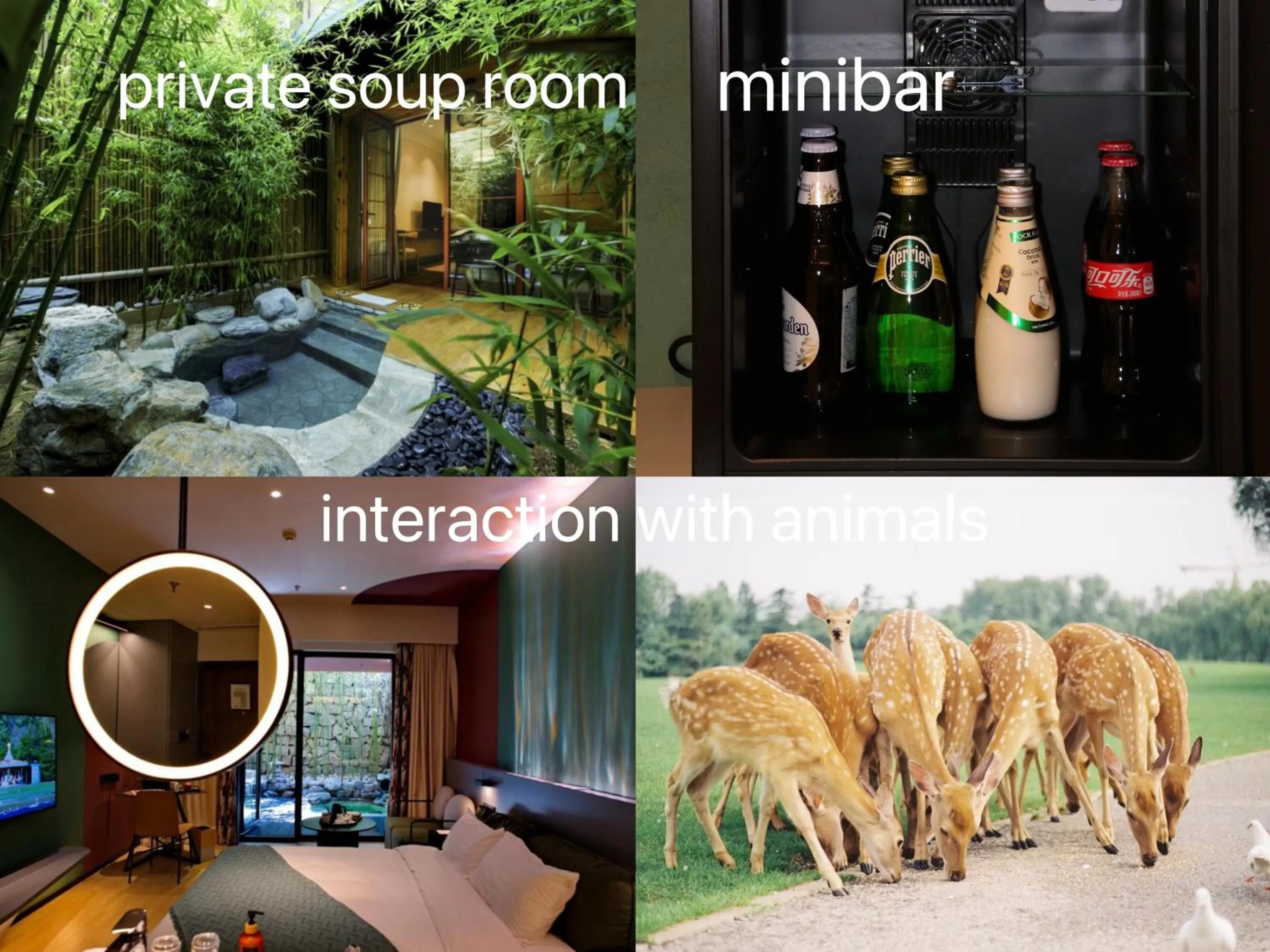 Text overlay in Zhi Resort Beijing&Peafowl Garden&Breakfast with Deer&Private Hot Spring&50 Meter Swimming Pool&Free Coffee&Close to Olympic Forest Park