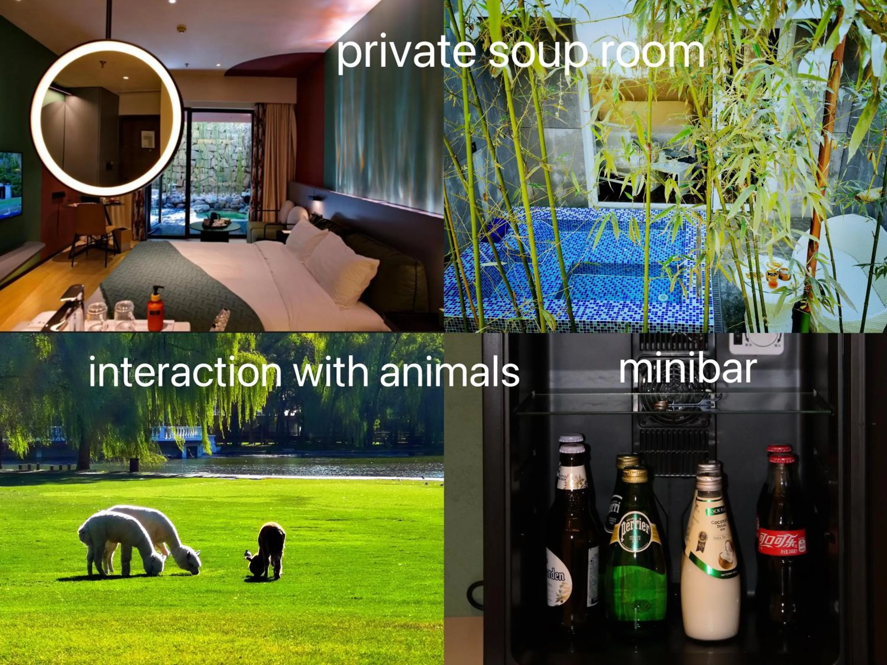 Text overlay in Zhi Resort Beijing&Peafowl Garden&Breakfast with Deer&Private Hot Spring&50 Meter Swimming Pool&Free Coffee&Close to Olympic Forest Park