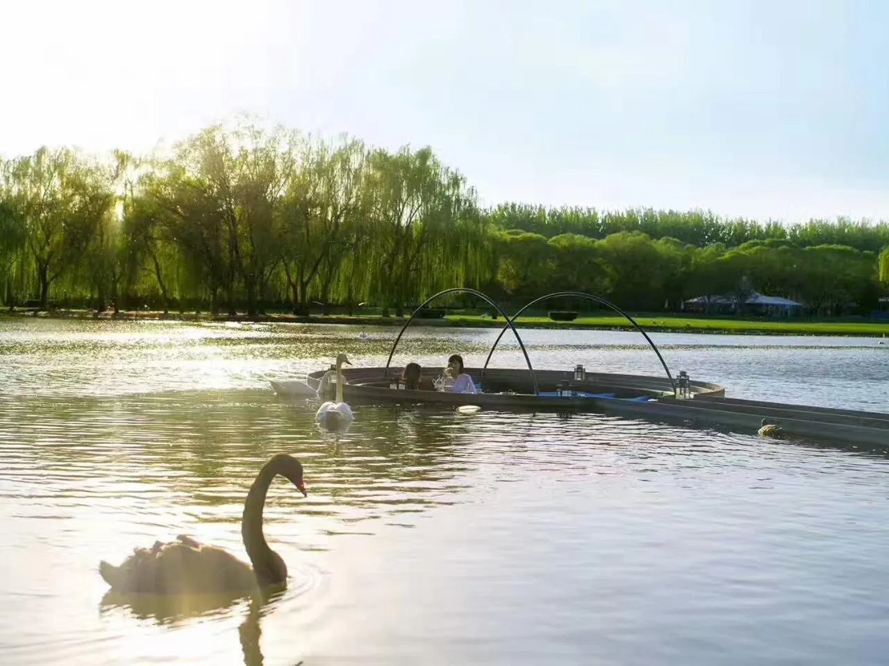 Spring in Zhi Resort Beijing&Peafowl Garden&Breakfast with Deer&Private Hot Spring&50 Meter Swimming Pool&Free Coffee&Close to Olympic Forest Park