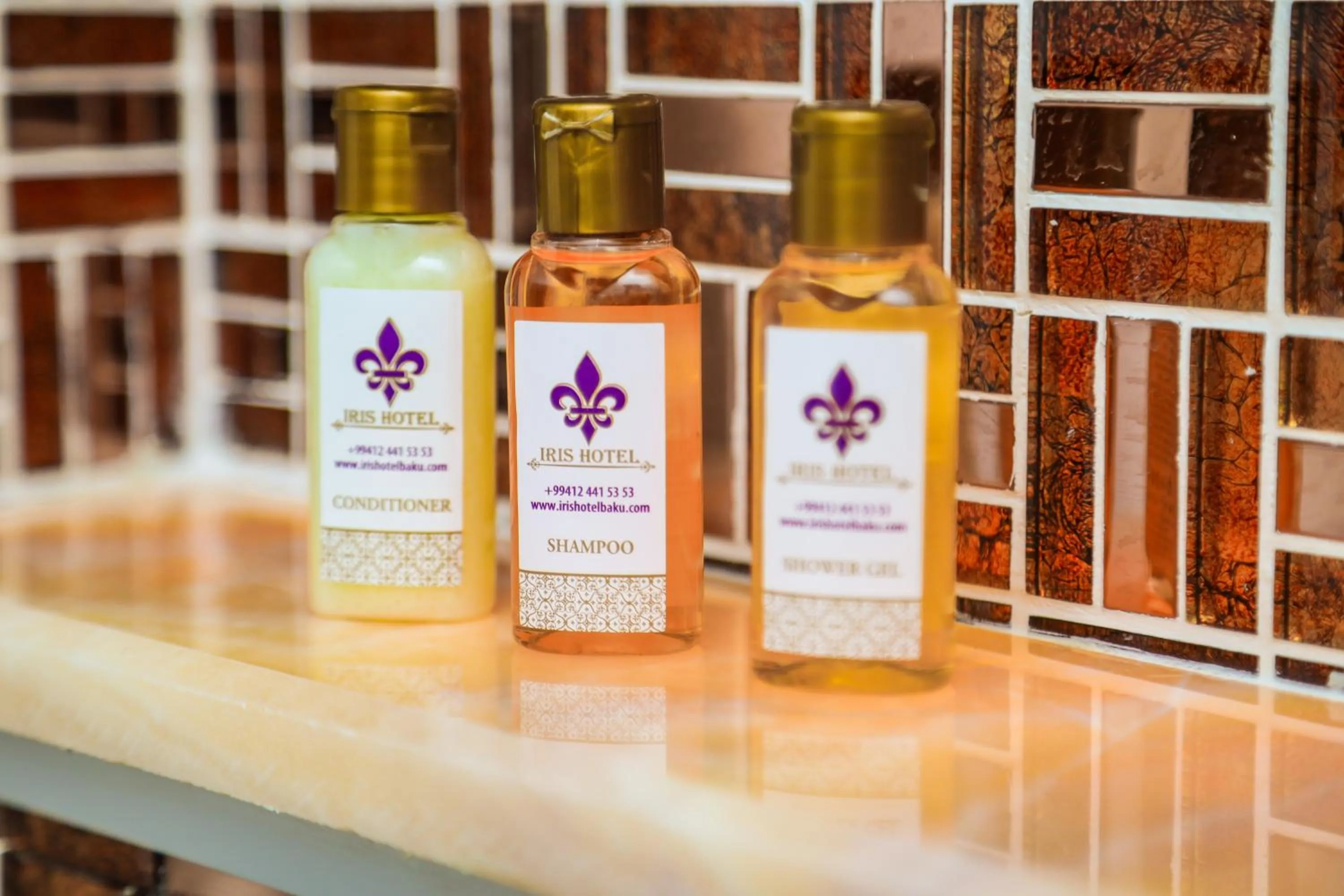 Toilet in Iris Hotel Baku