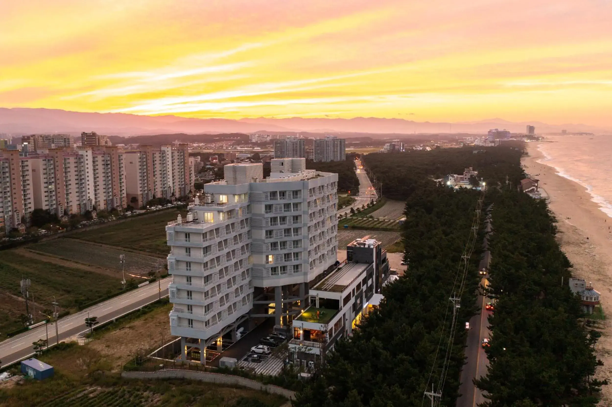 Gangneung PINEART Label Gangneung PINEART Label