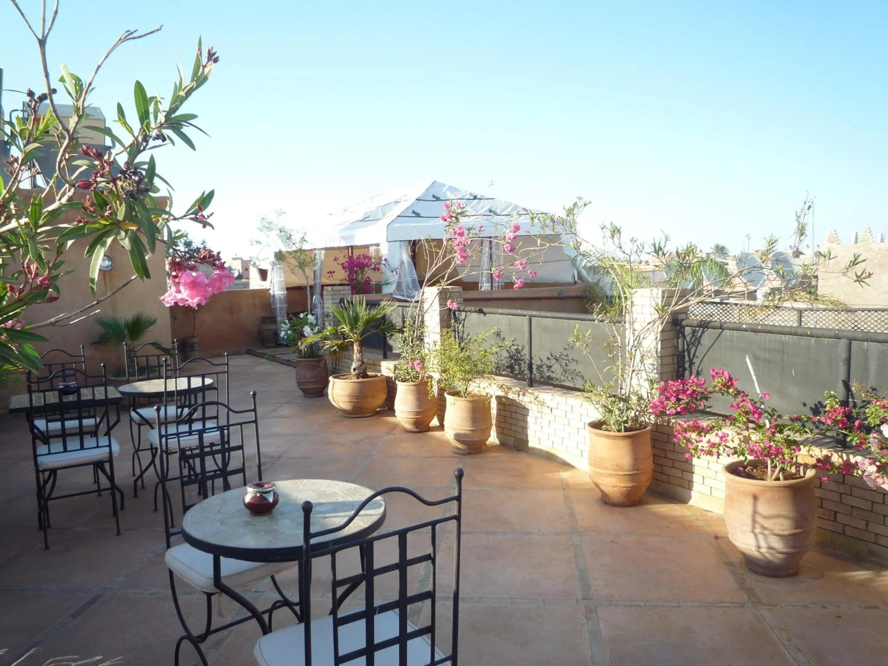 Bird's eye view in Riad Azenzer