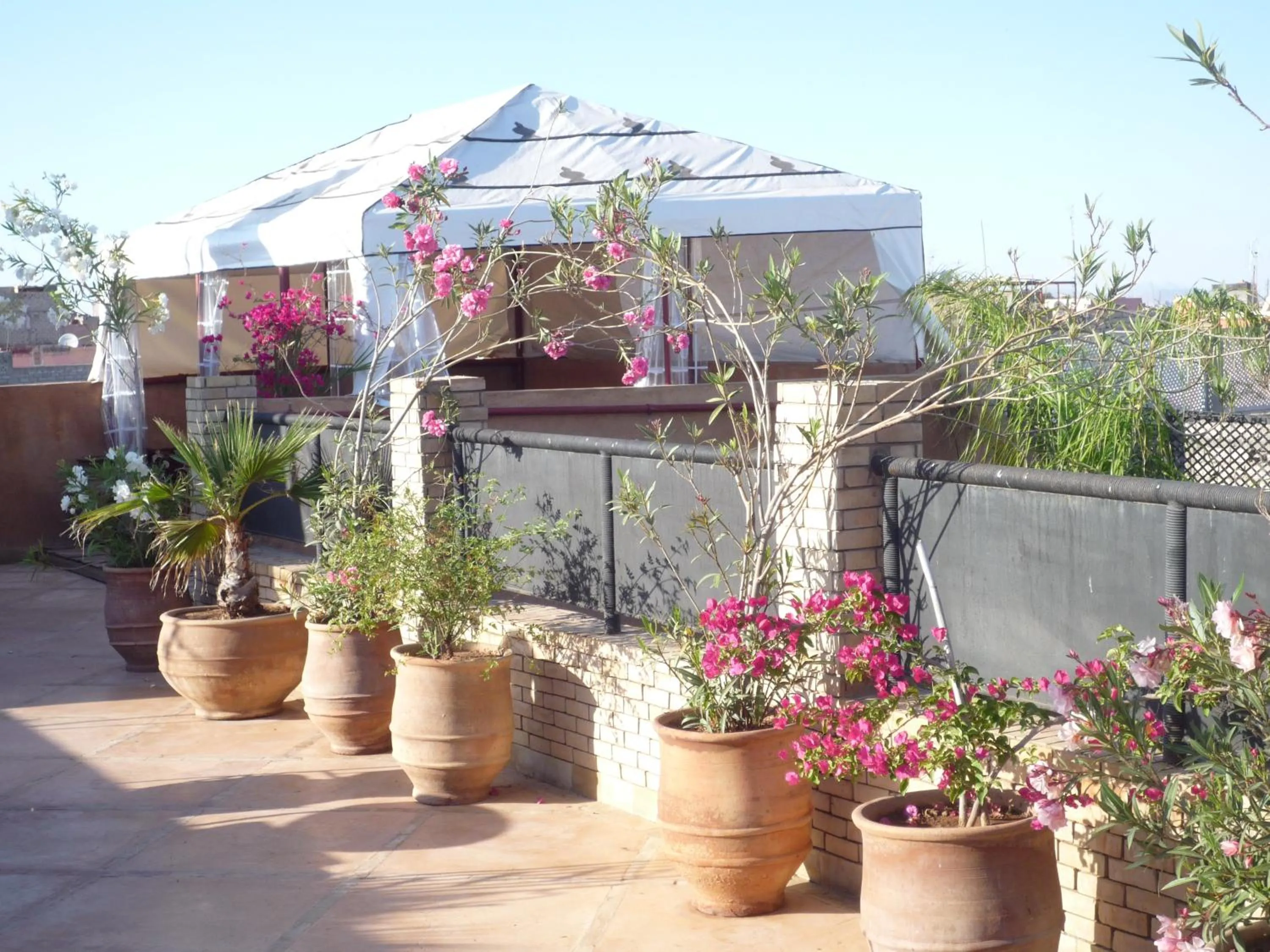 Balcony/Terrace in Riad Azenzer