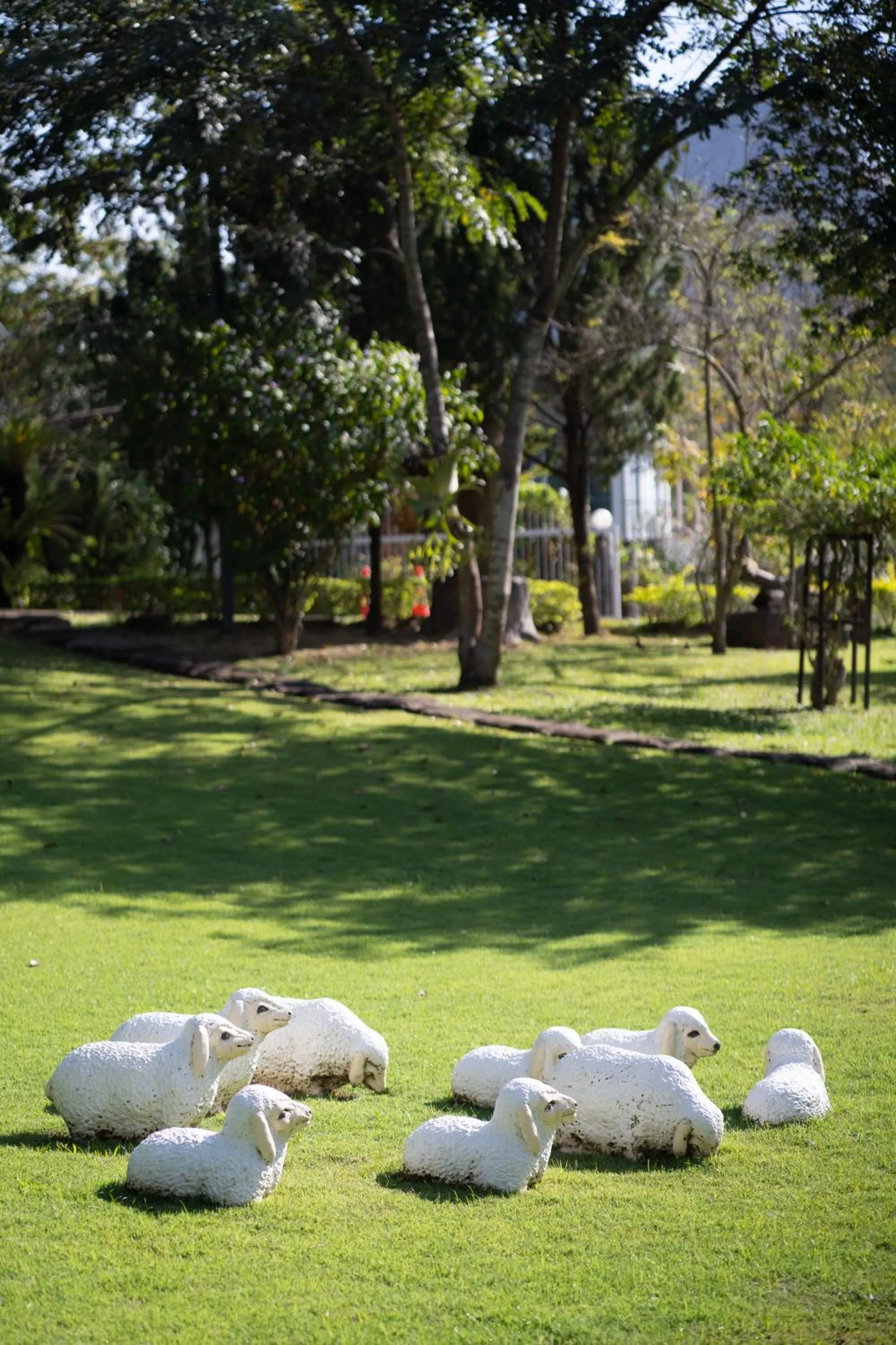 Area and facilities in Thara Dara Khaoyai