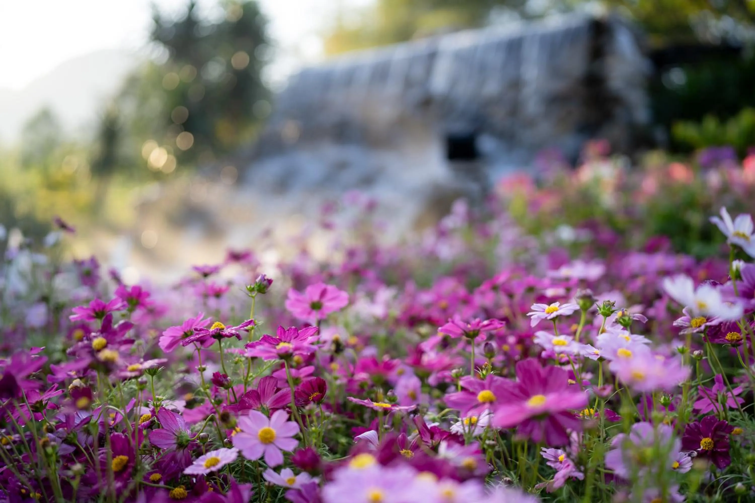 Garden in Thara Dara Khaoyai