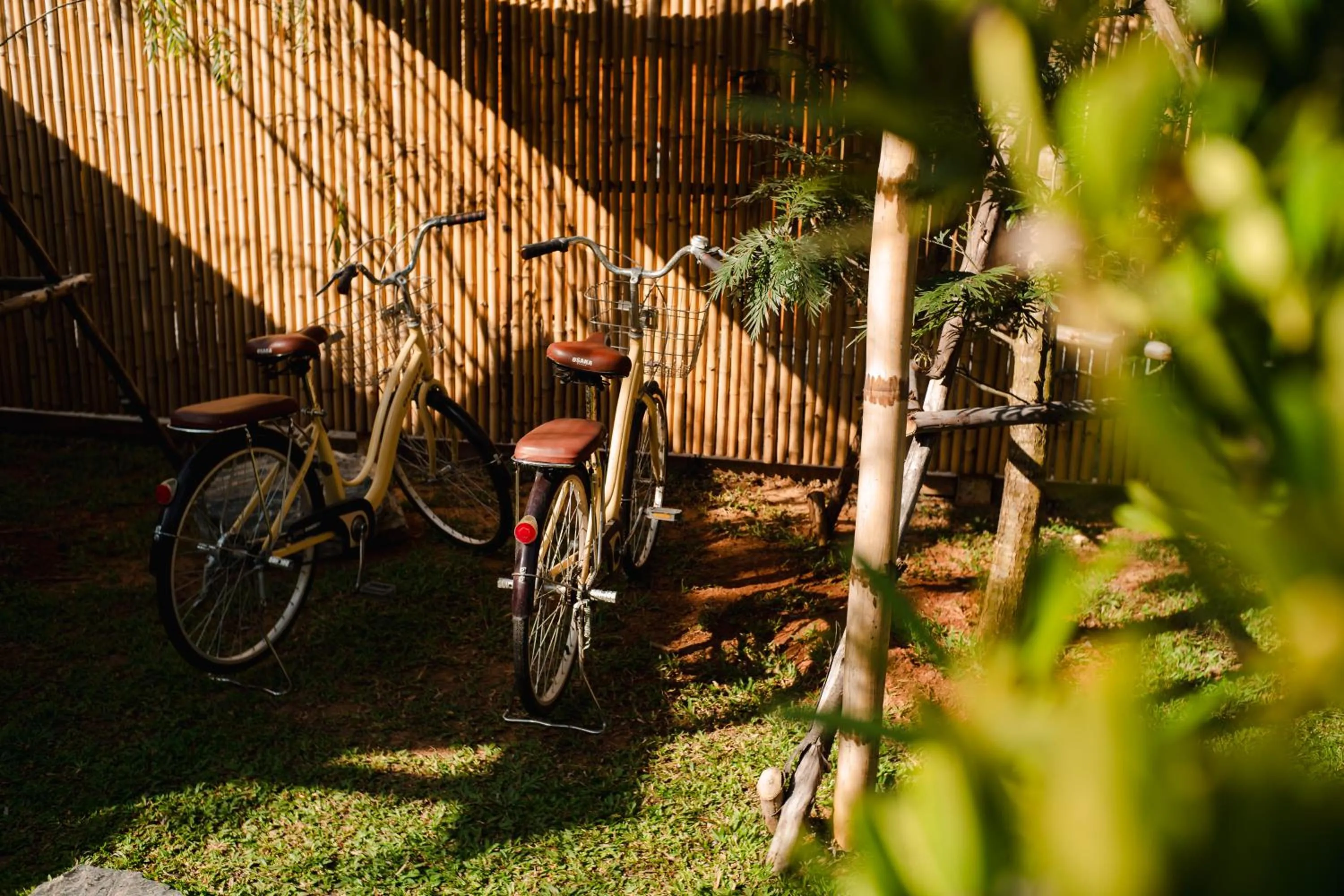 Cycling in Thara Dara Khaoyai