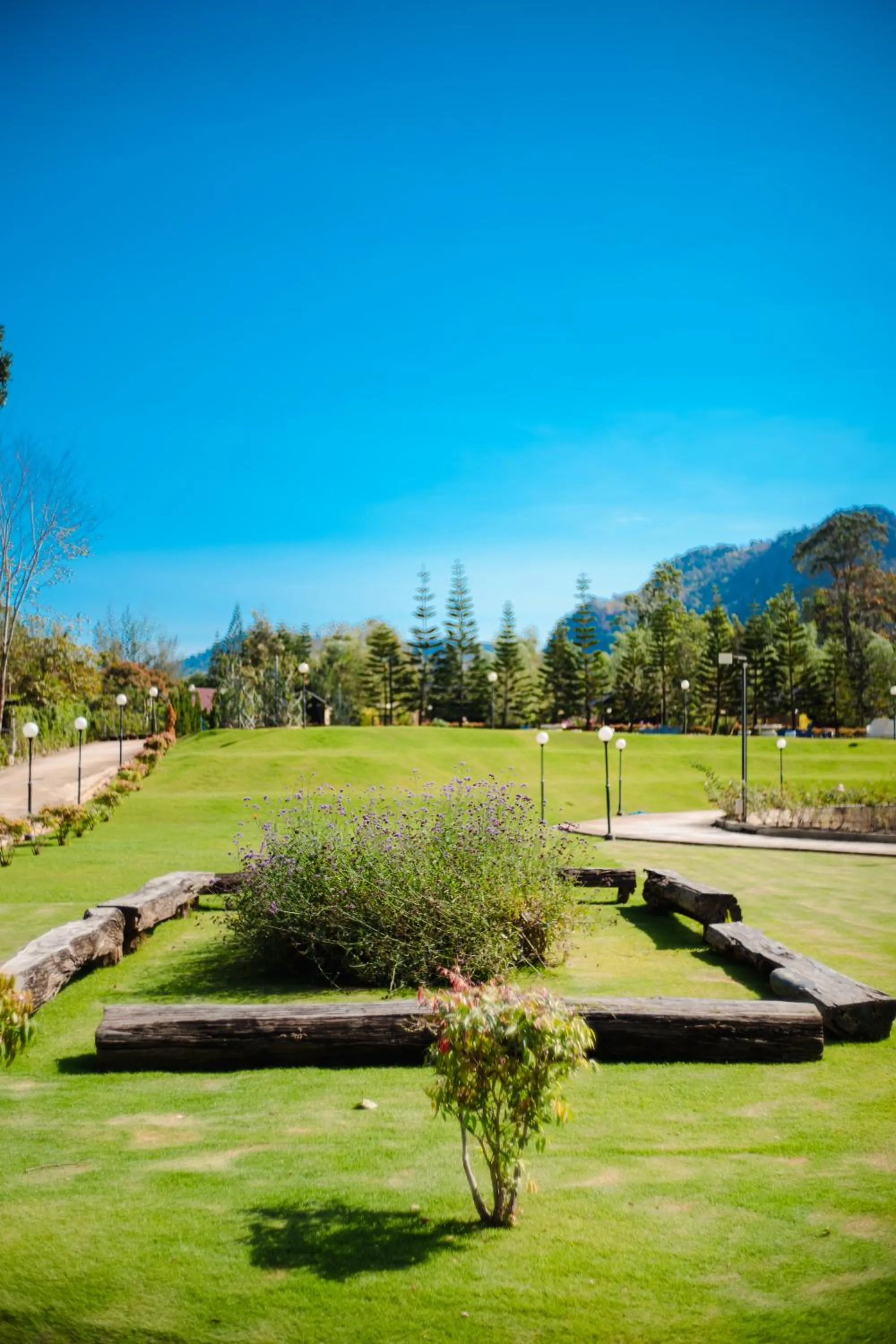 Area and facilities in Thara Dara Khaoyai