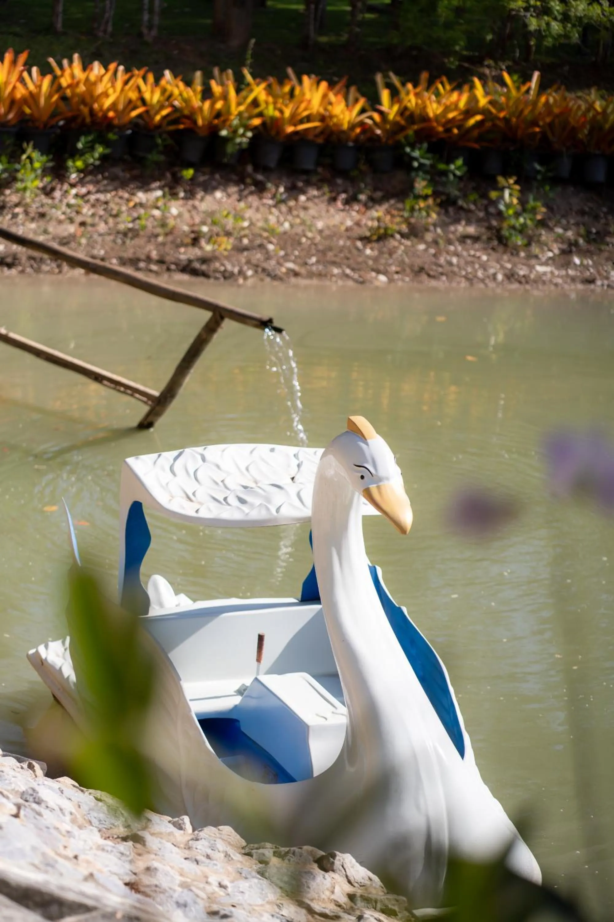 Area and facilities in Thara Dara Khaoyai